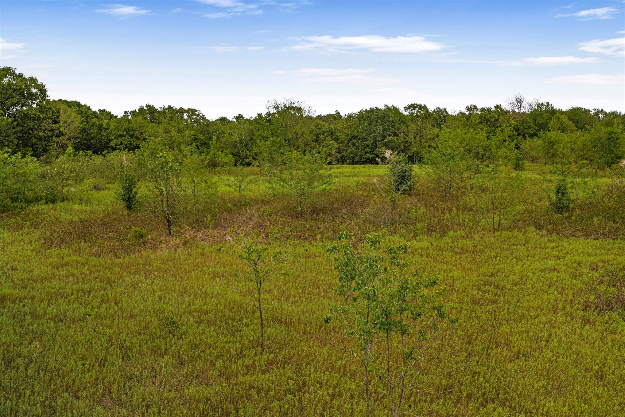 2635272 Property Photo 8