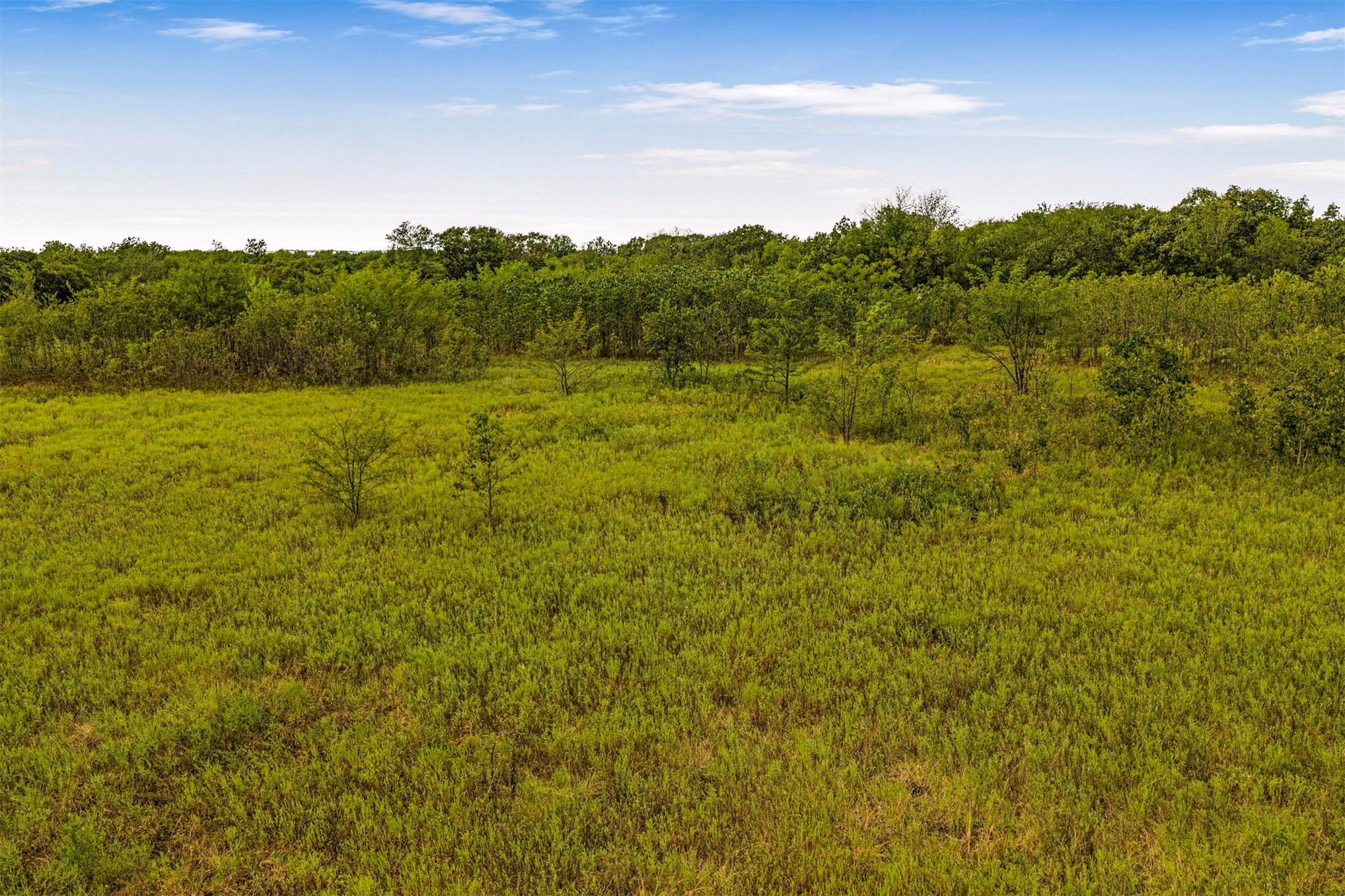 2635272 Property Photo 9