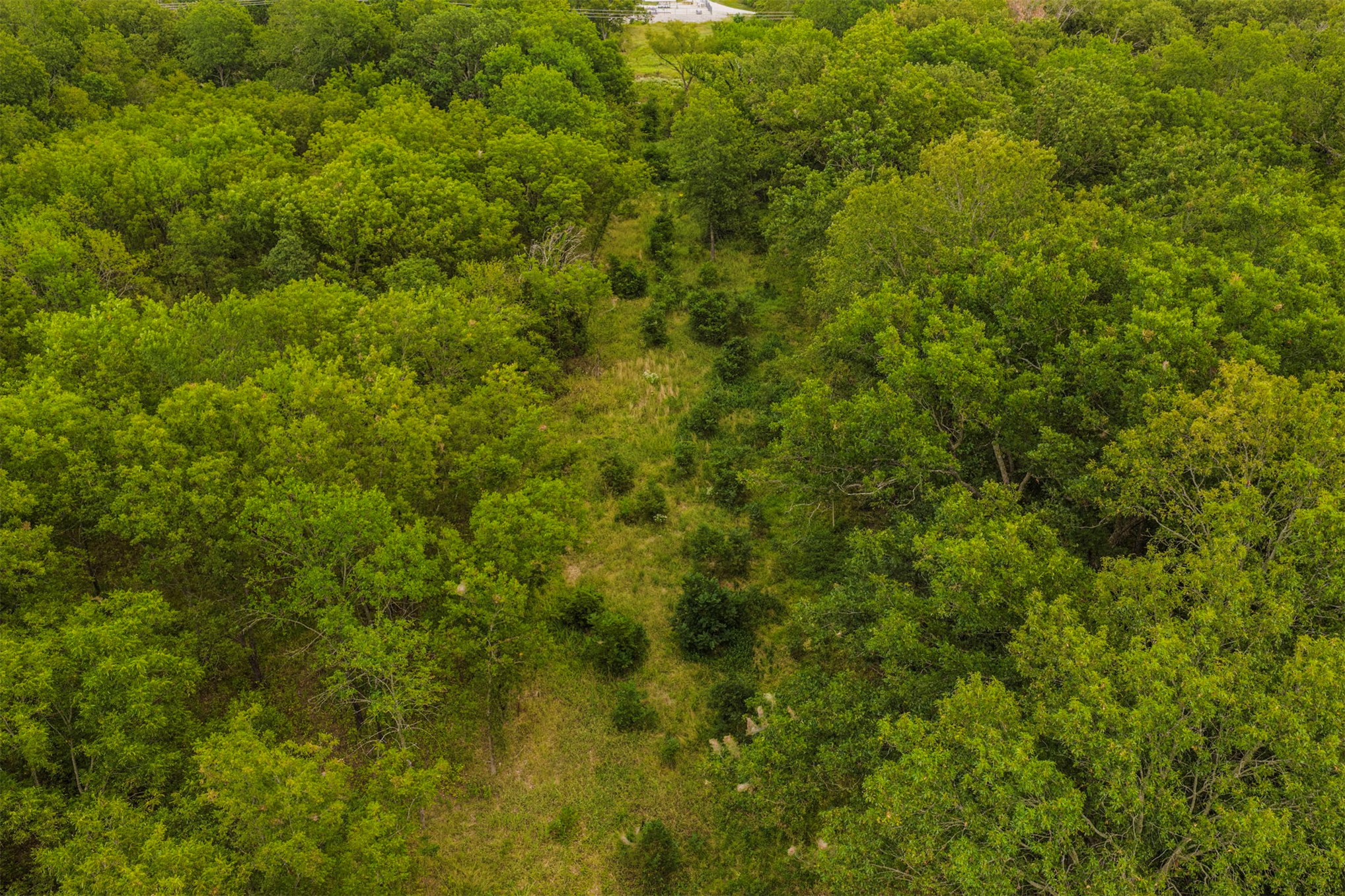 2635272 Property Photo 10