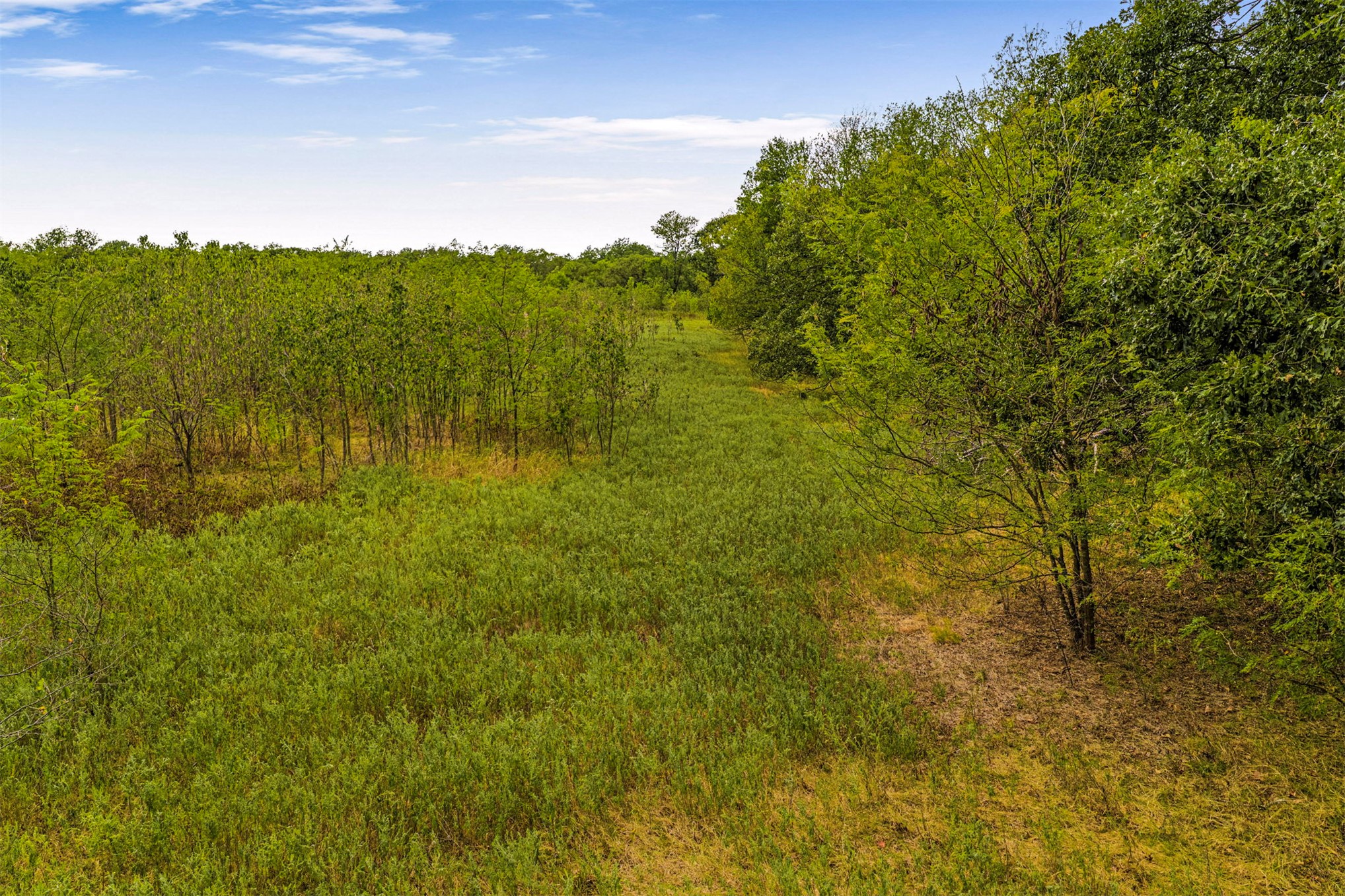 2635272 Property Photo 11