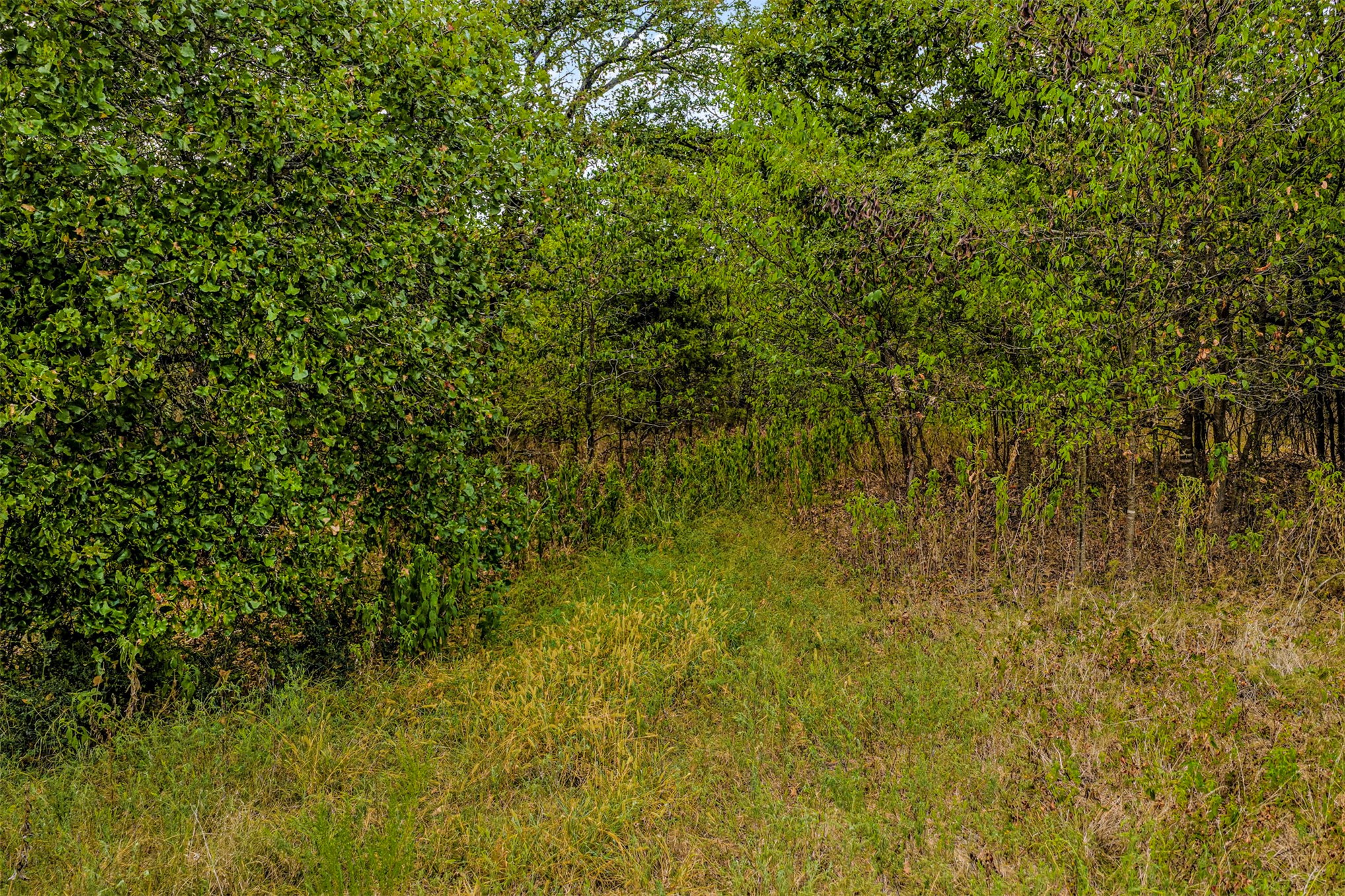 2635272 Property Photo 12