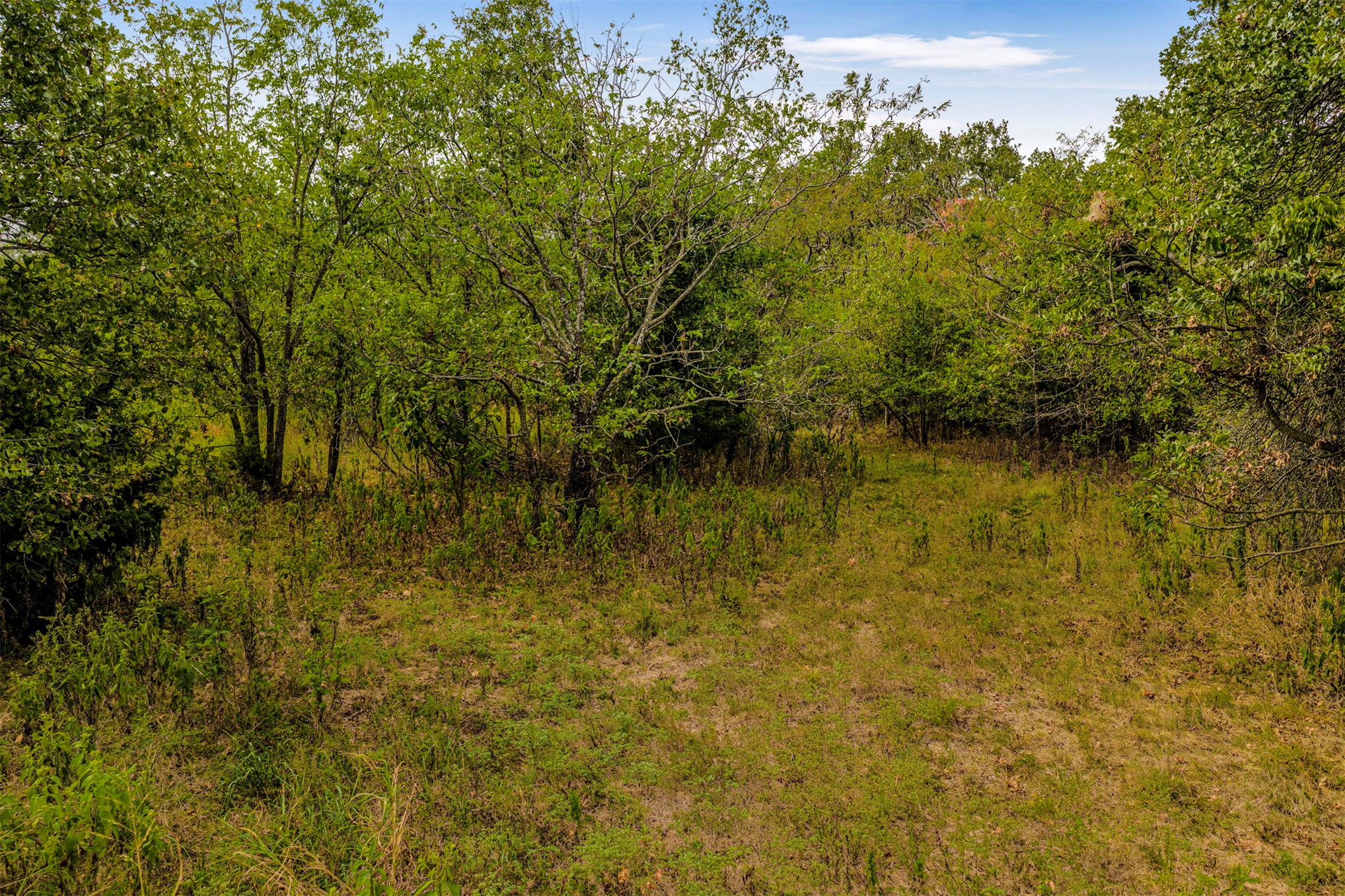 2635272 Property Photo 13