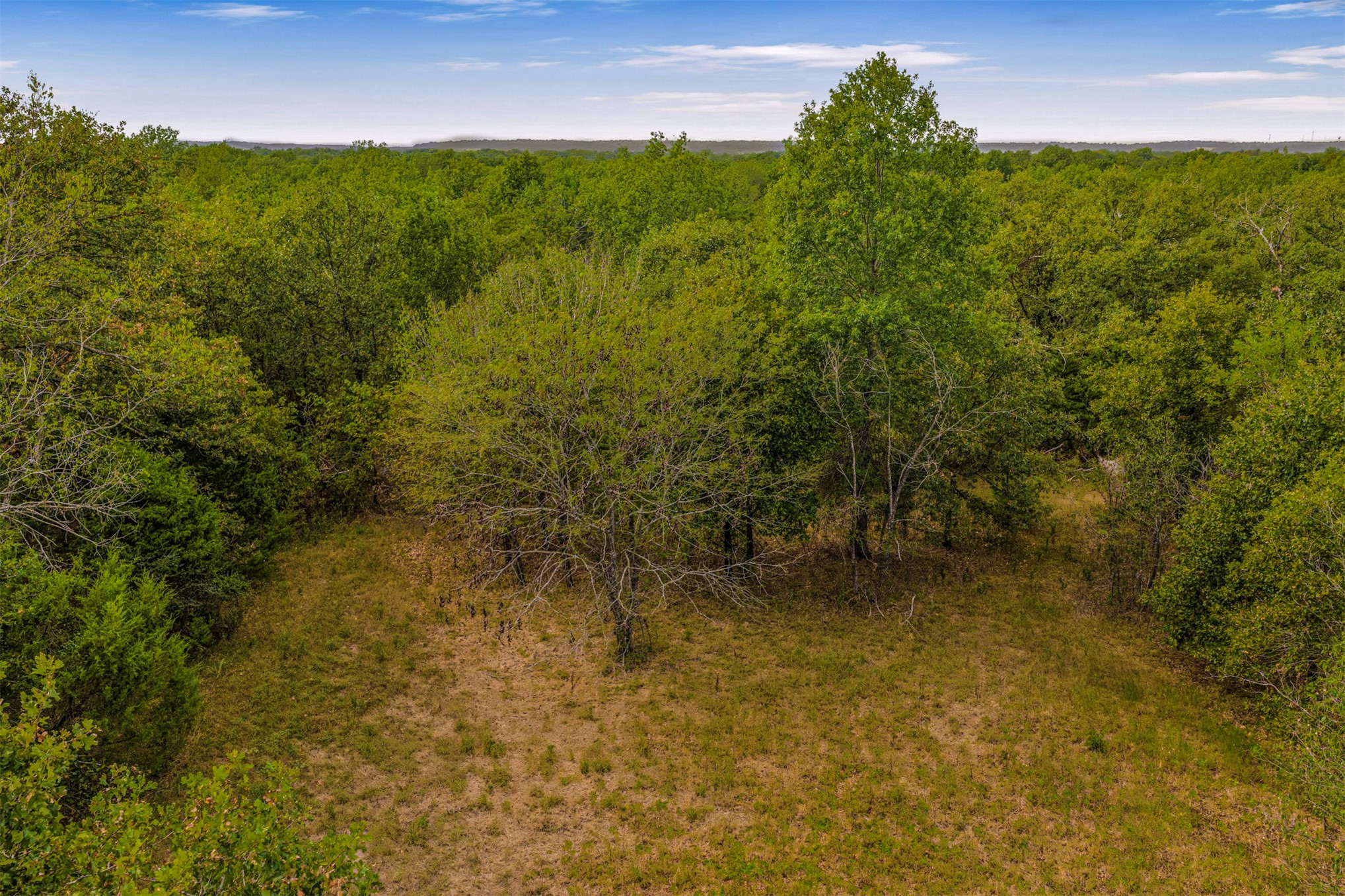 2635272 Property Photo 16