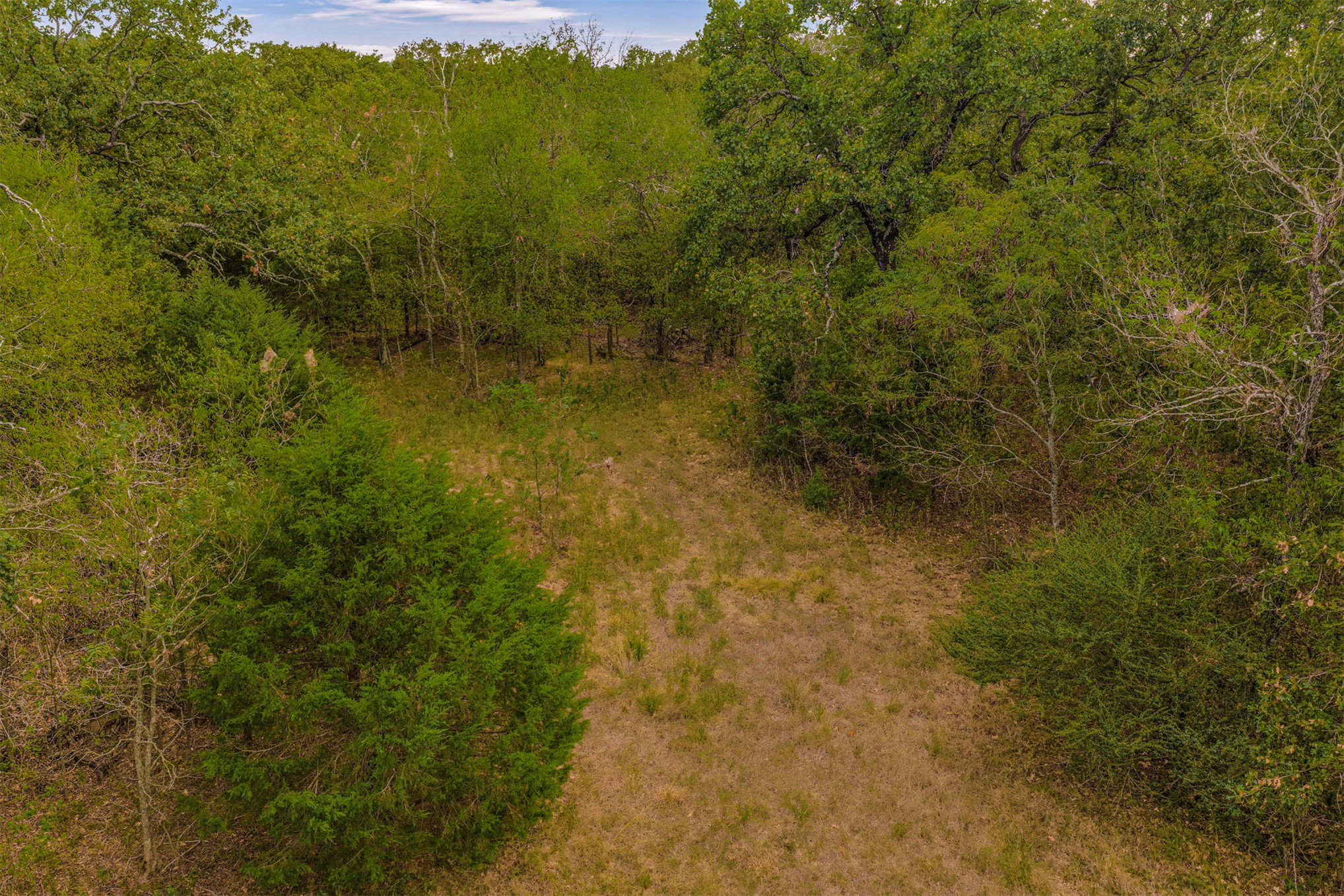 2635272 Property Photo 17