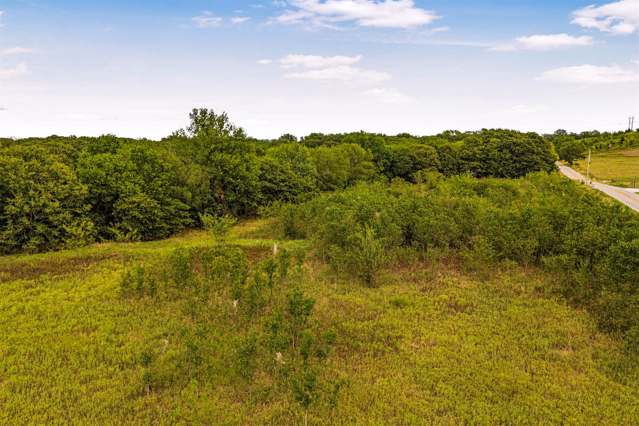 2635272 Property Photo 29