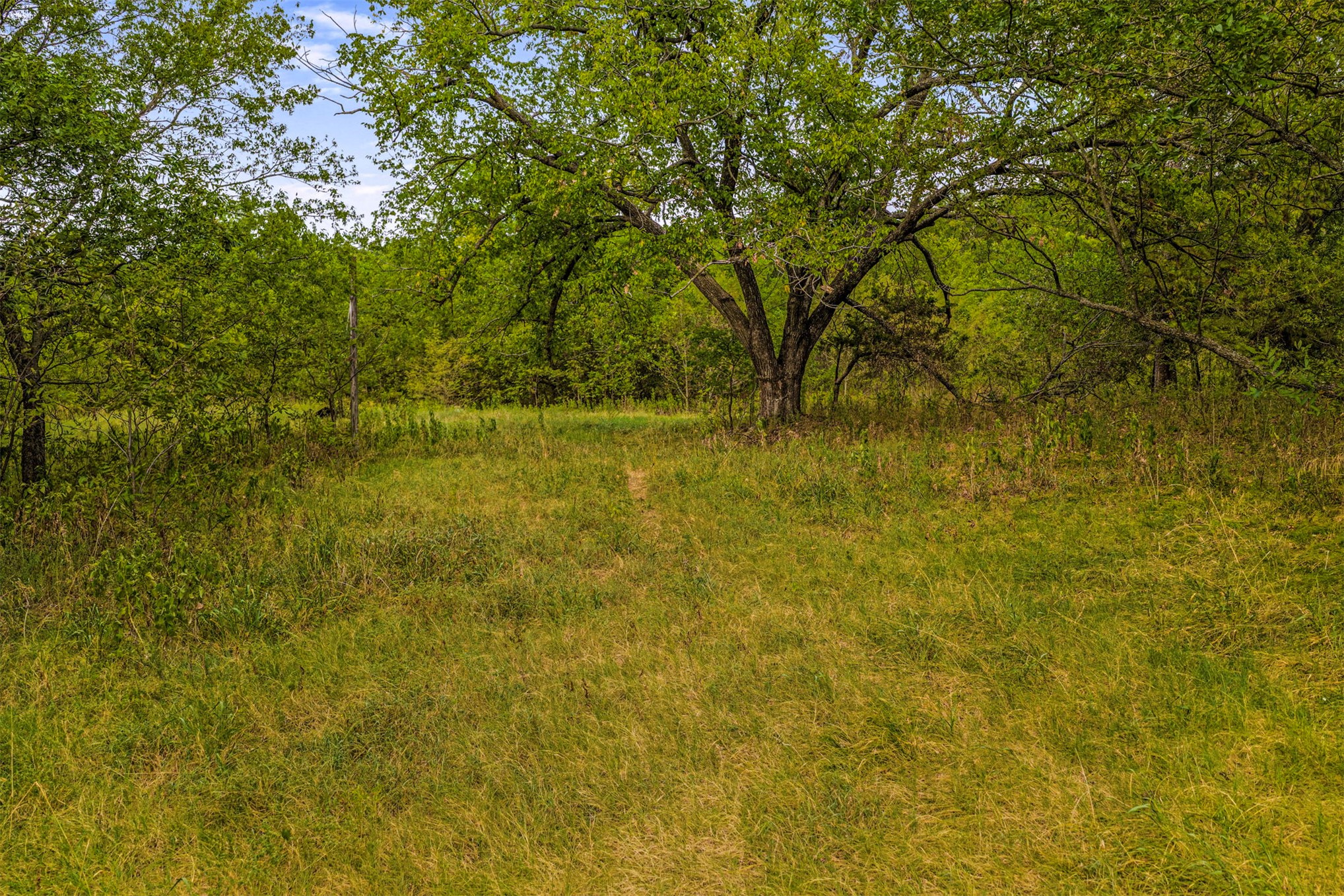 2635272 Property Photo 33
