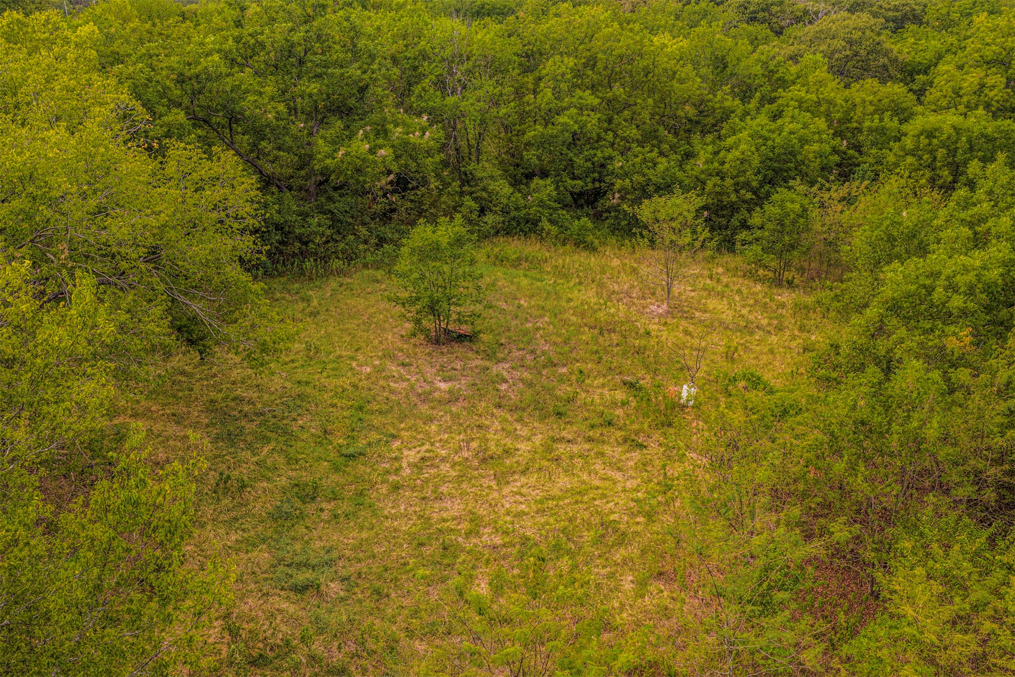 2635272 Property Photo 34