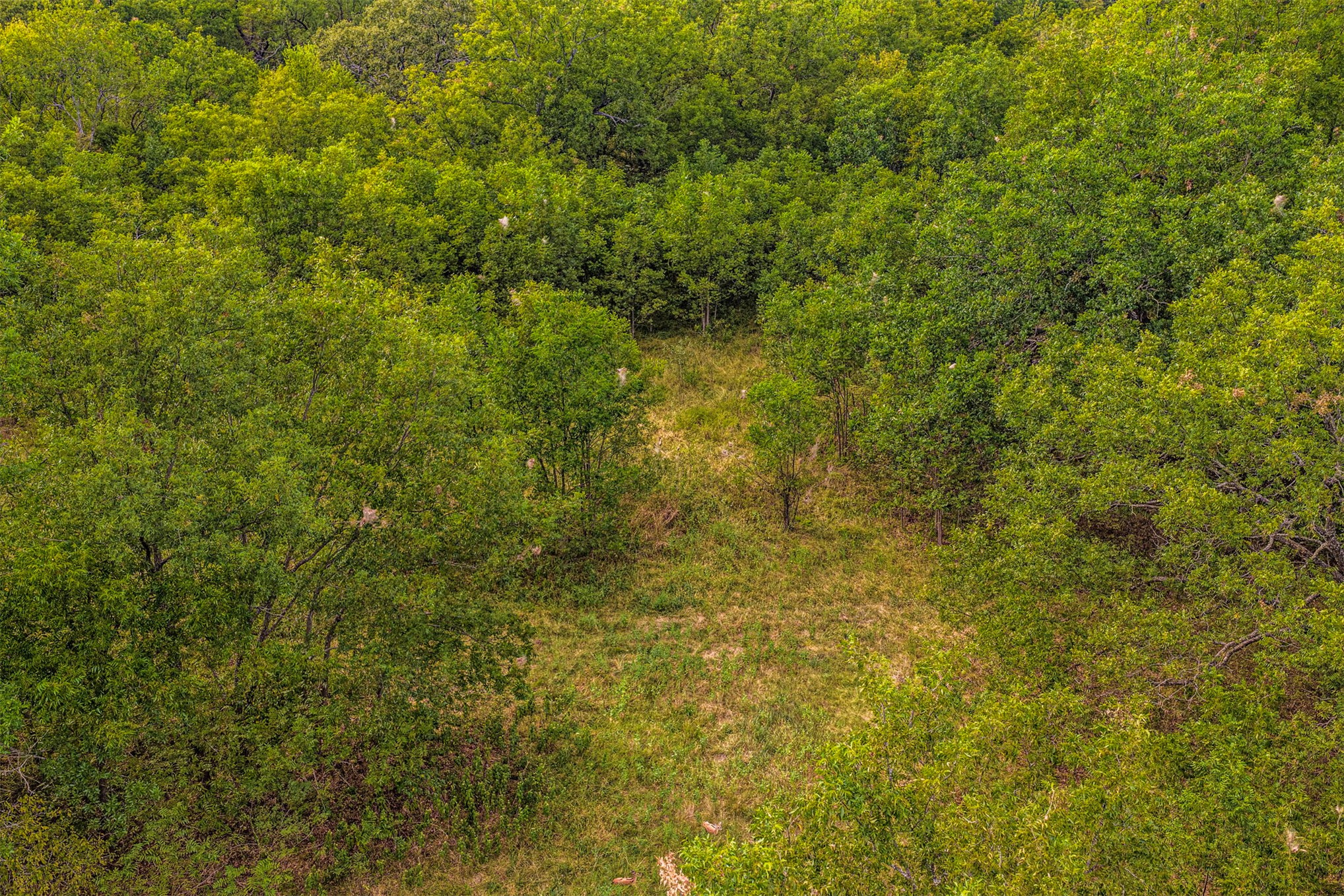 2635272 Property Photo 35
