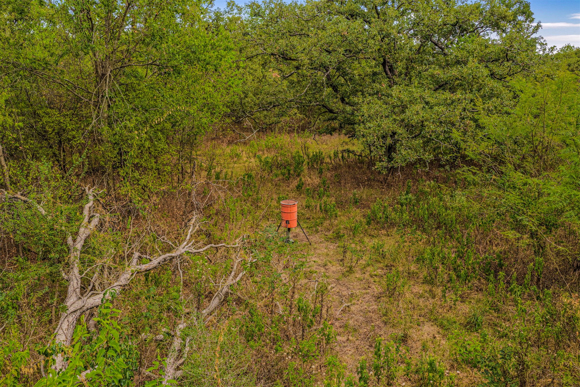2635272 Property Photo 40