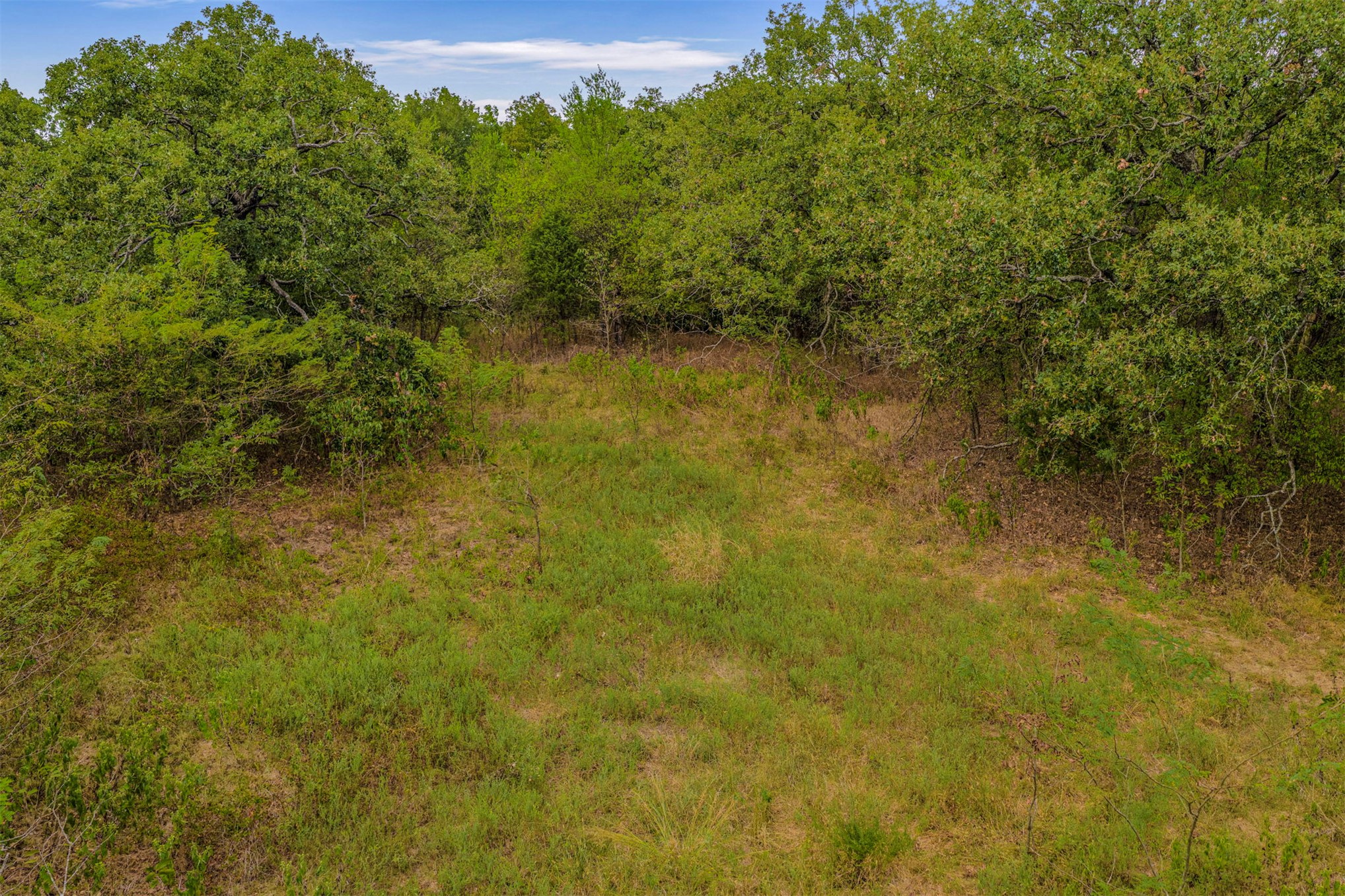 2635272 Property Photo 41