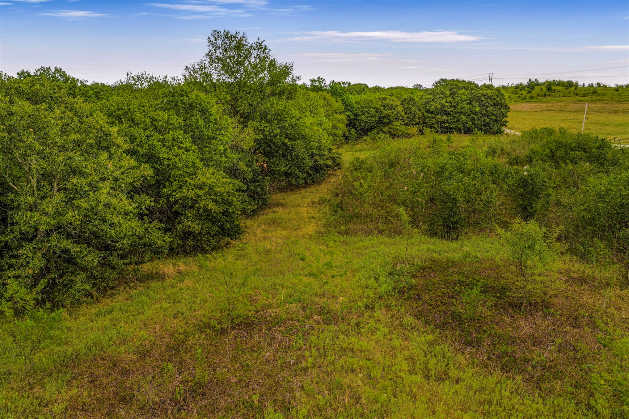 2635272 Property Photo 42
