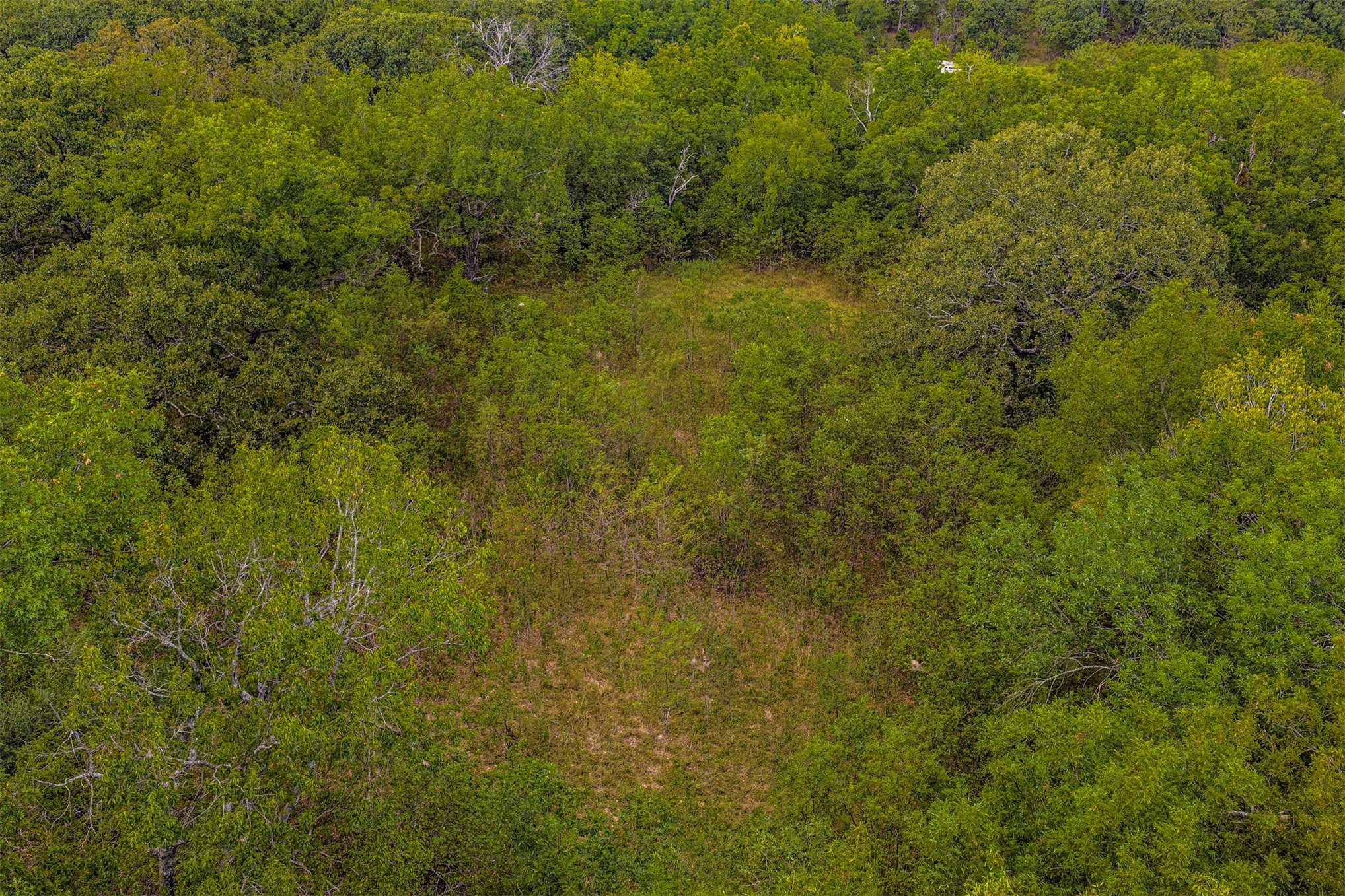2635272 Property Photo 44