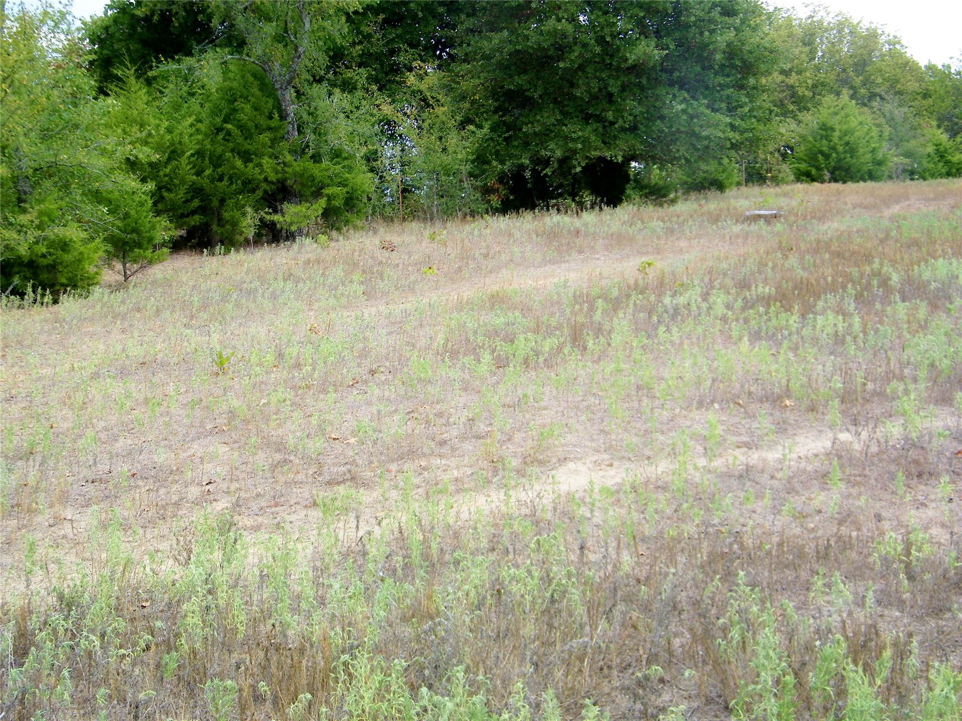 8709 County Road 1460 Property Photo 6