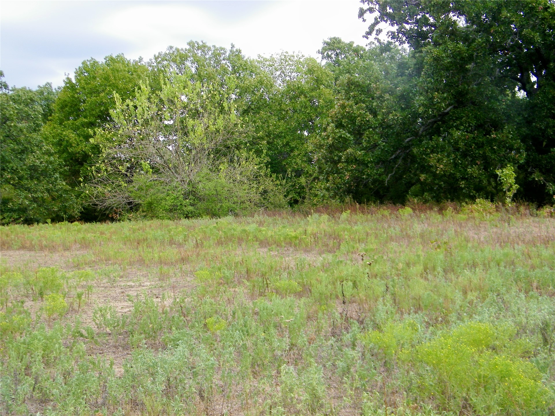 8709 County Road 1460 Property Photo 8
