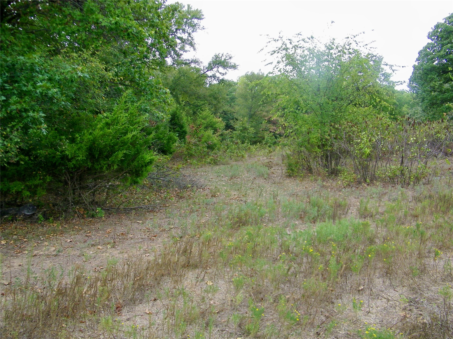 8709 County Road 1460 Property Photo 10