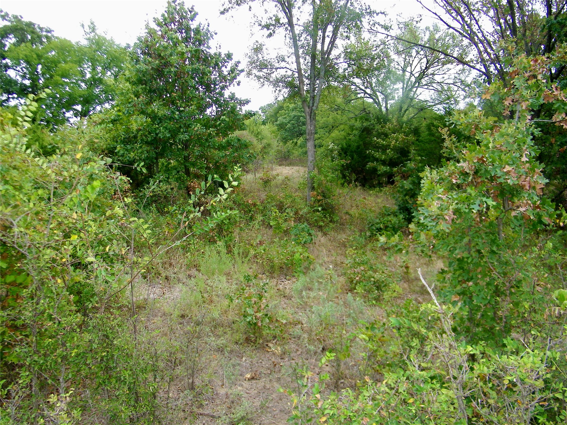 8709 County Road 1460 Property Photo 21