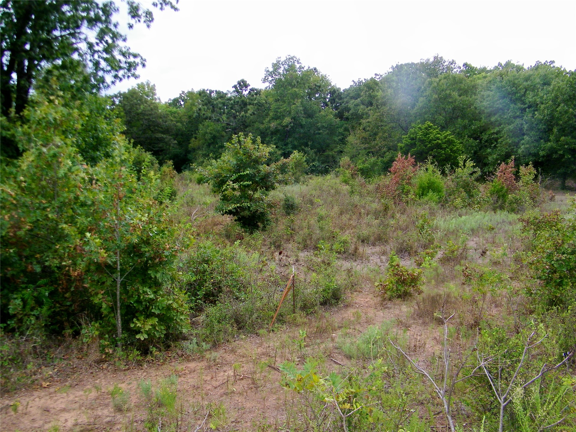 8709 County Road 1460 Property Photo 22