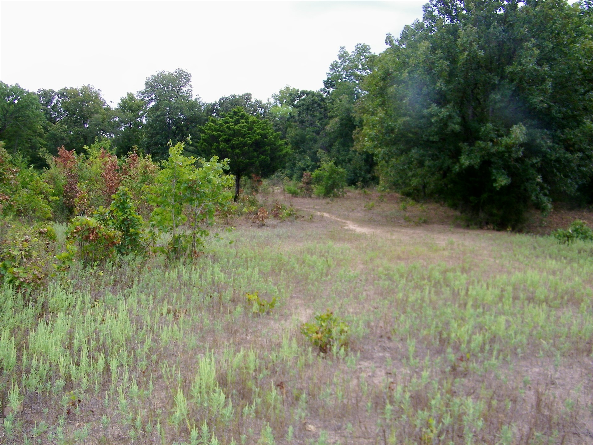 8709 County Road 1460 Property Photo 26