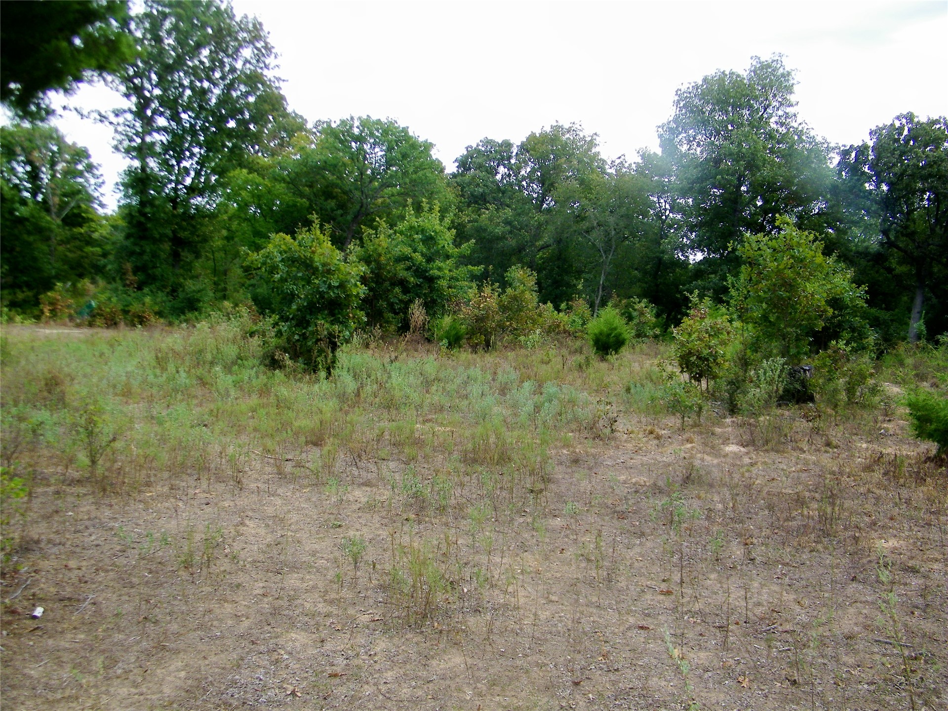 8709 County Road 1460 Property Photo 29