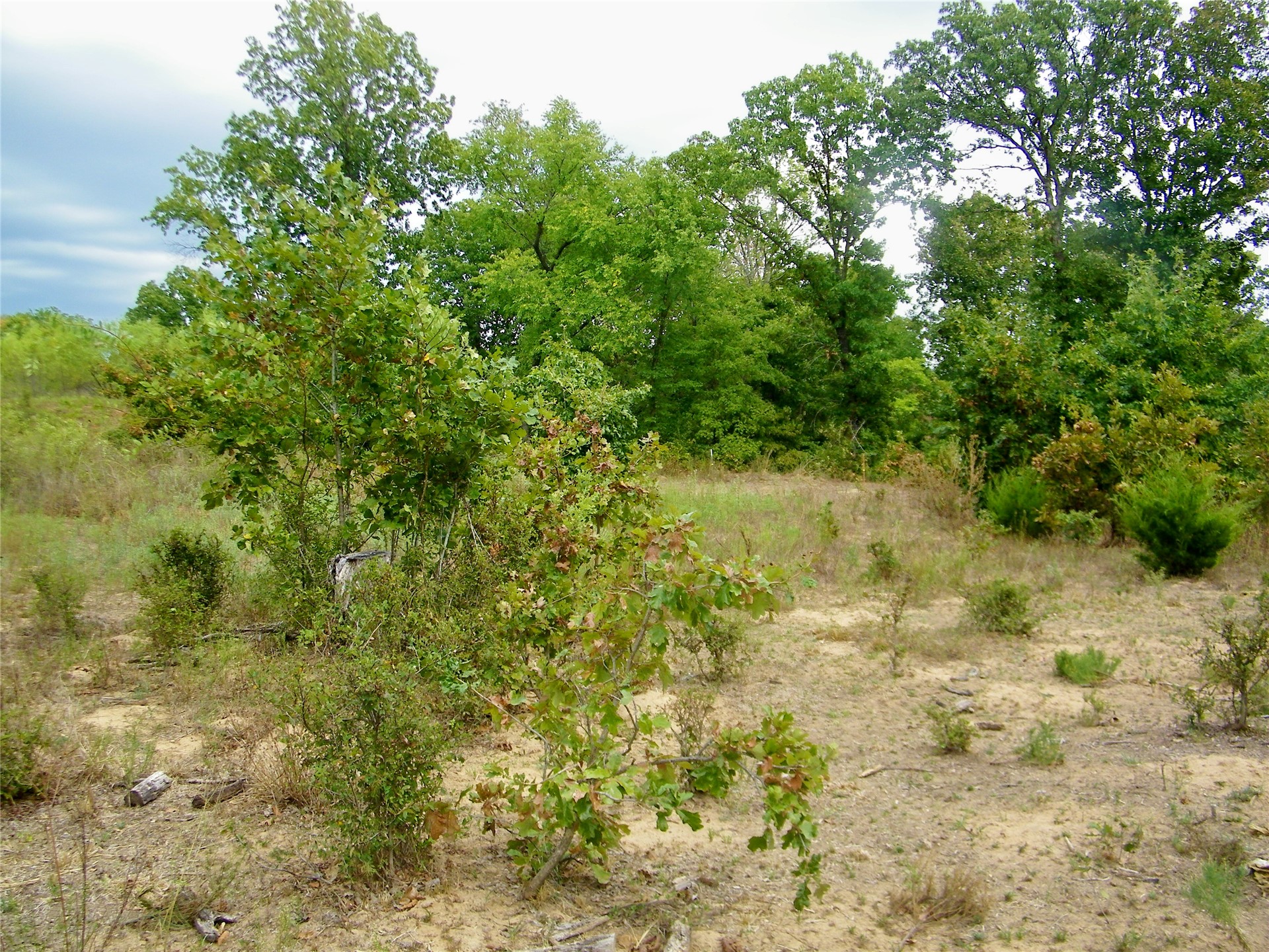 8709 County Road 1460 Property Photo 36