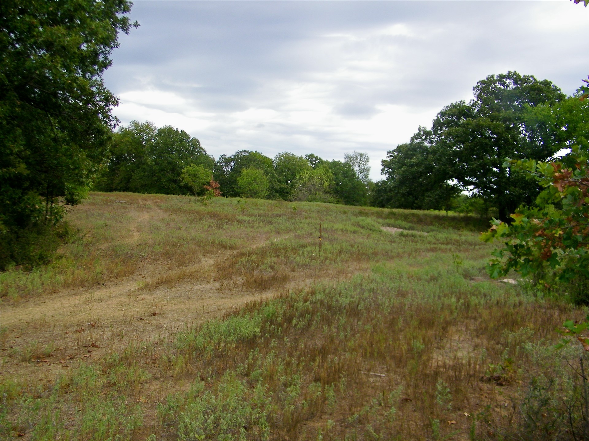 8709 County Road 1460 Property Photo 40