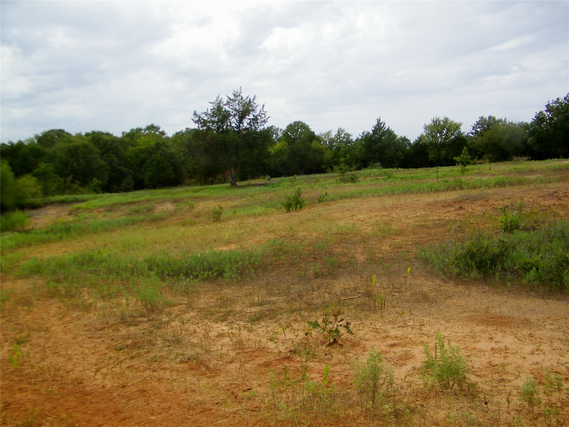 8709 County Road 1460 Property Photo 41