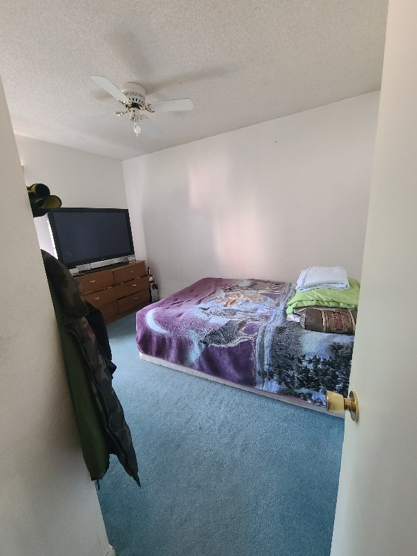 319 Donna Street Property Photo 6