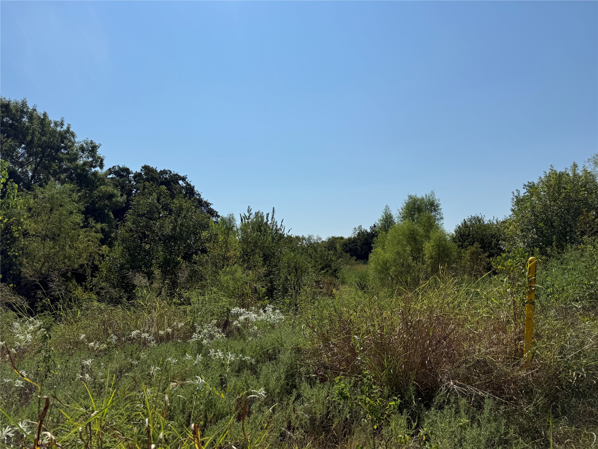 499 Robin Road Property Photo 2