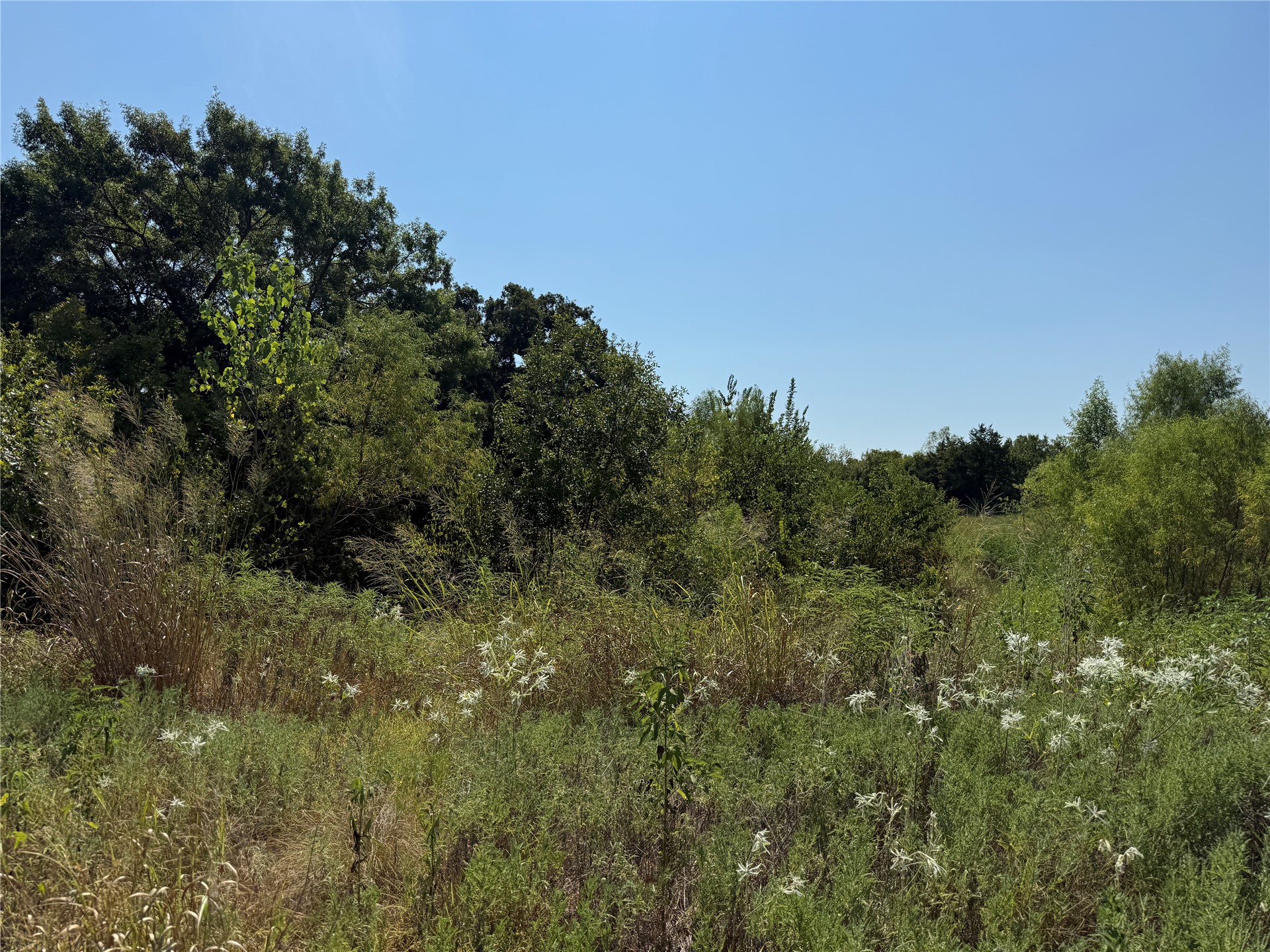 499 Robin Road Property Photo 3