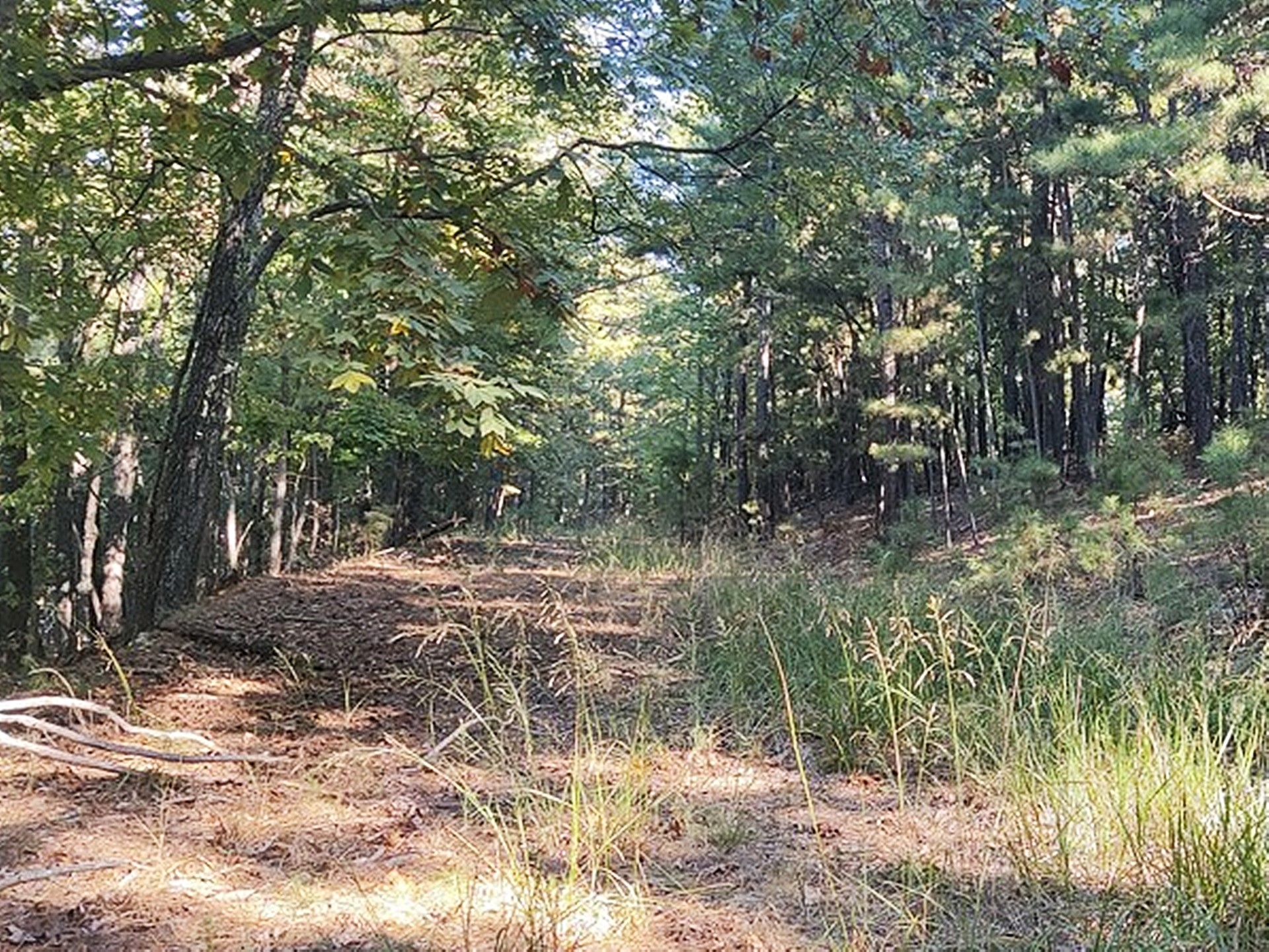 1324 Pinto Circle Property Photo 8