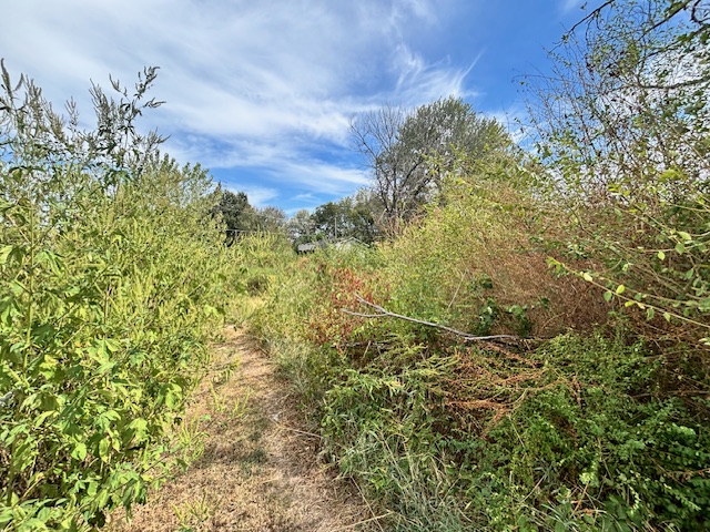 415 N 4th Street Property Photo 2