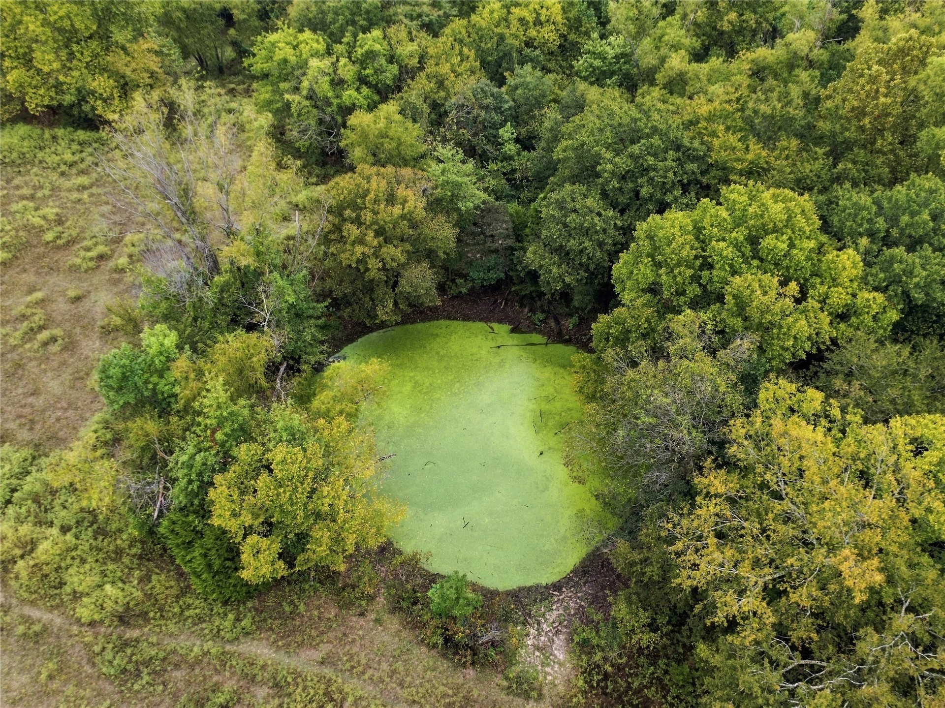 115027 N 3950 Road Property Photo 36