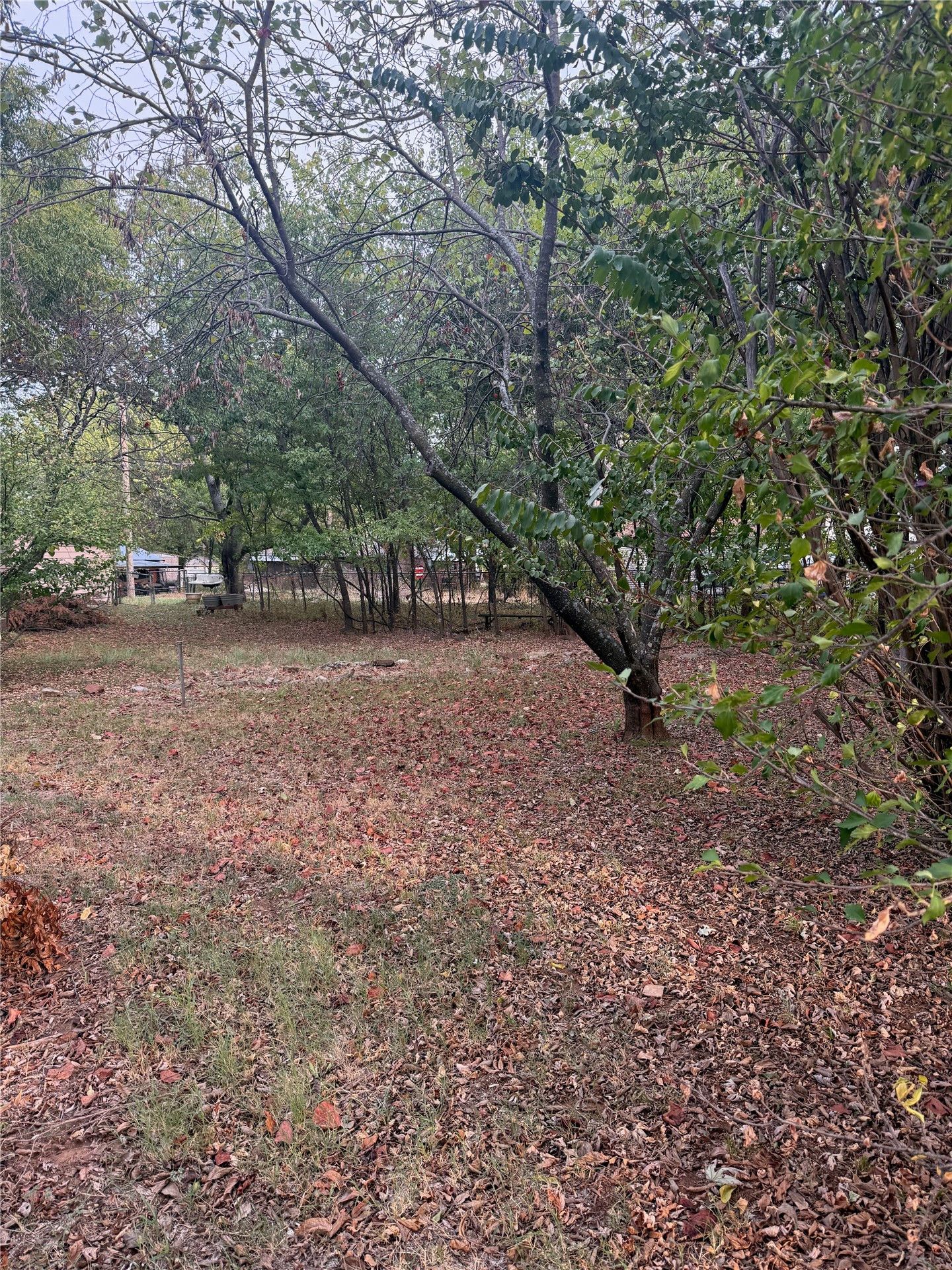 822 E Oklahoma Property Photo 5