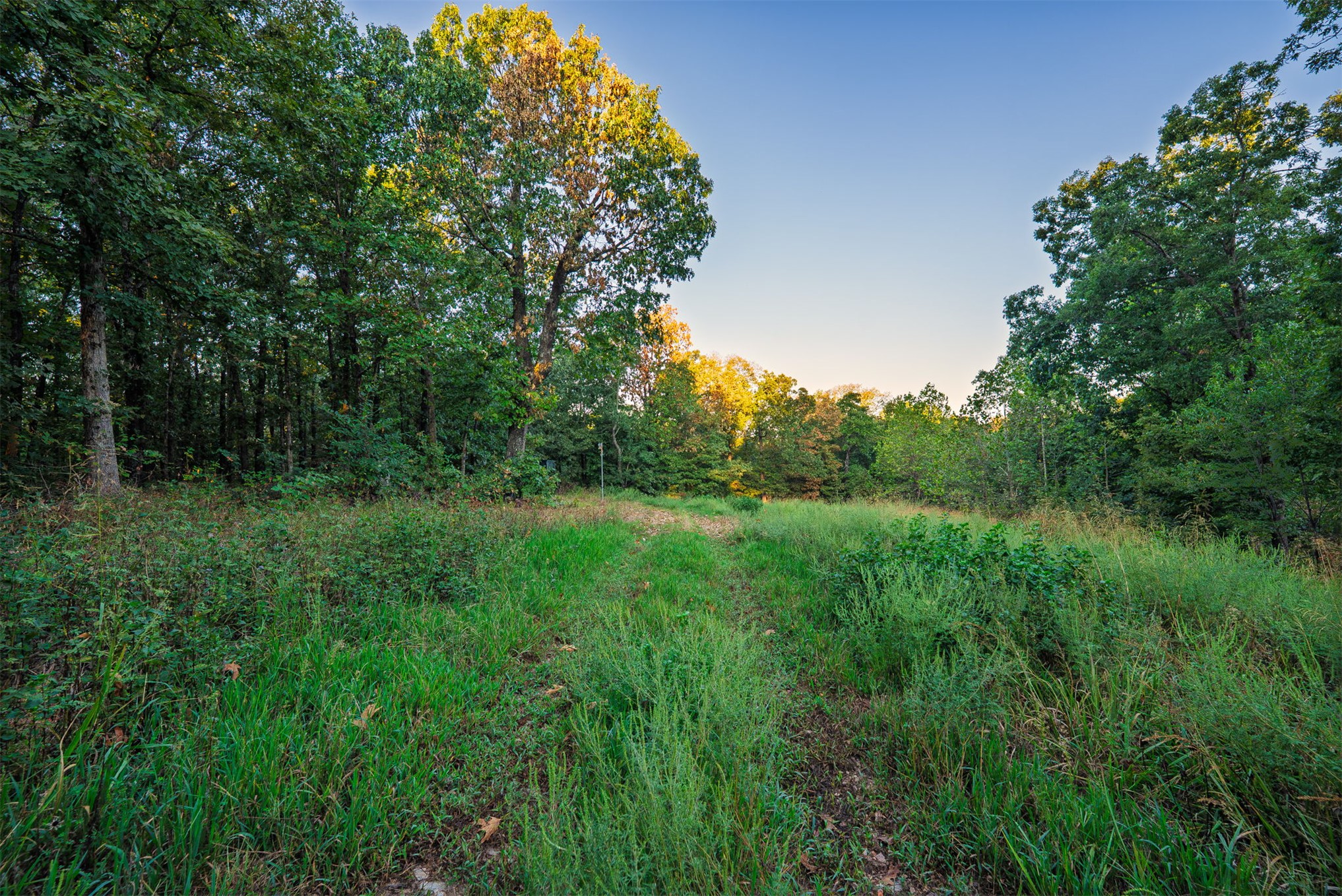 21501 S 705 Road Property Photo 75