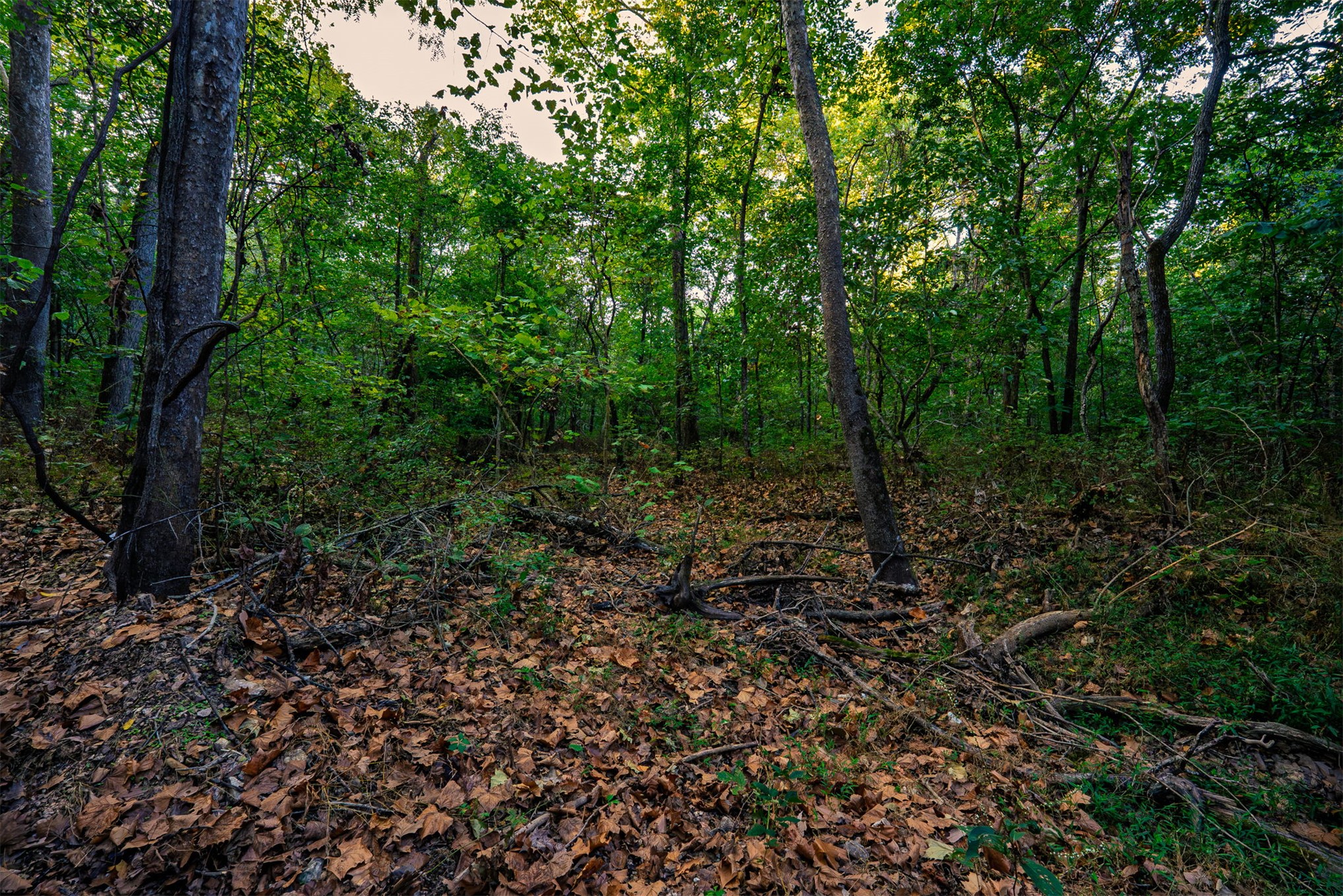 21501 S 705 Road Property Photo 76
