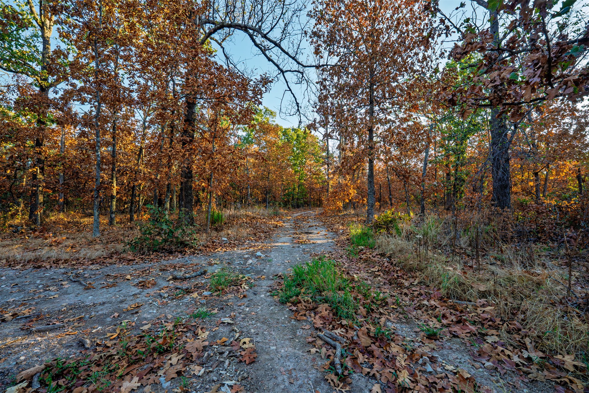 21501 S 705 Road Property Photo 80