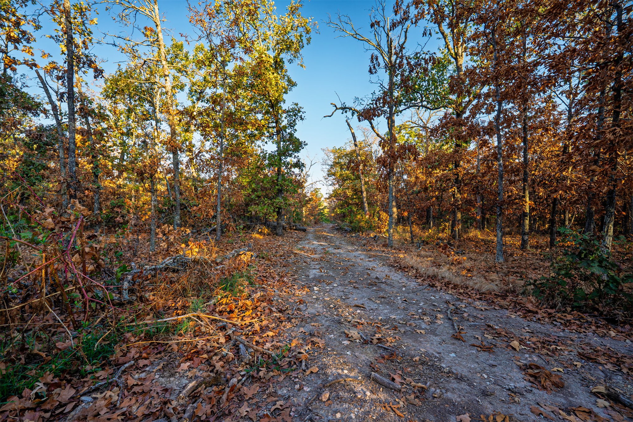 21501 S 705 Road Property Photo 83