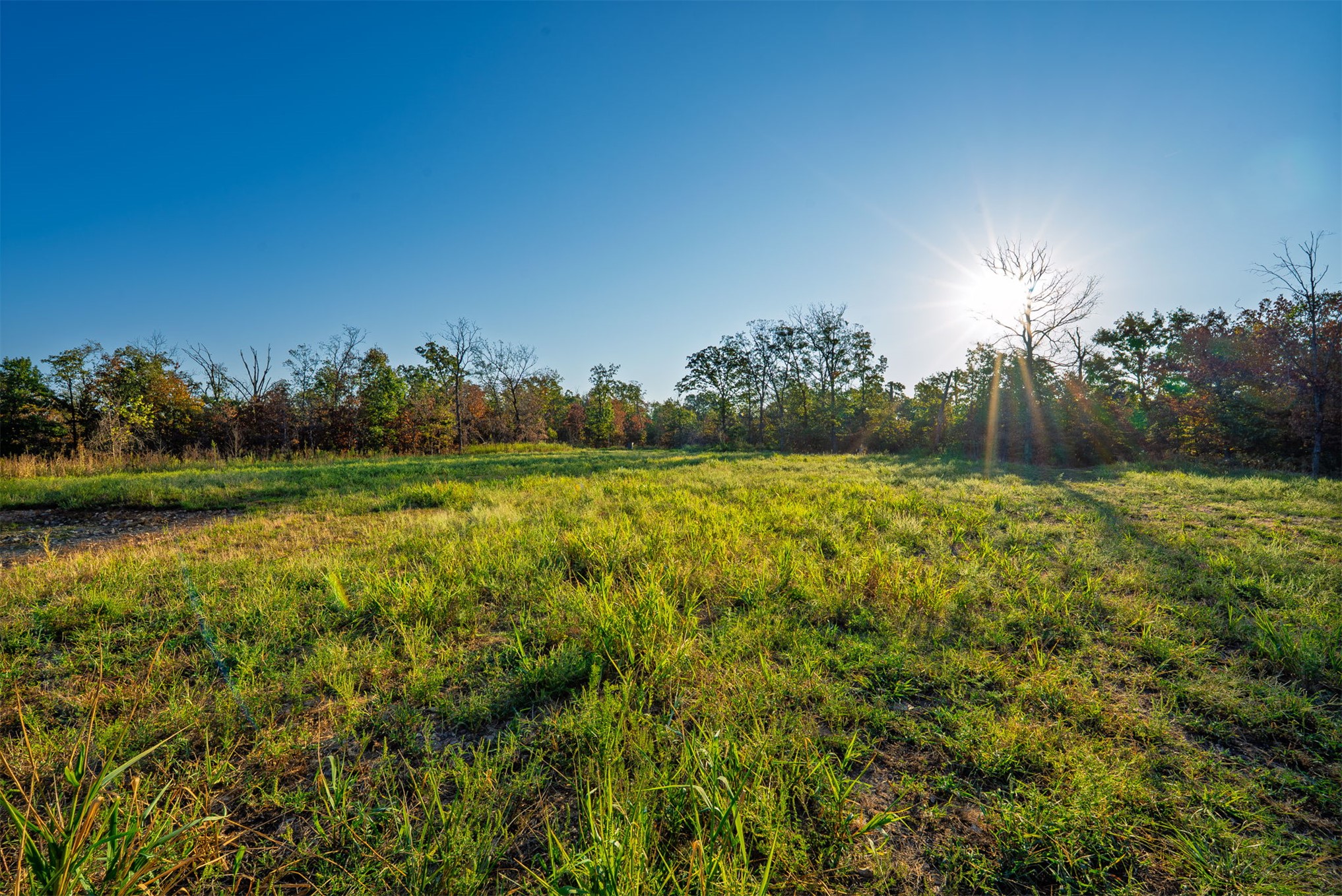 21501 S 705 Road Property Photo 84