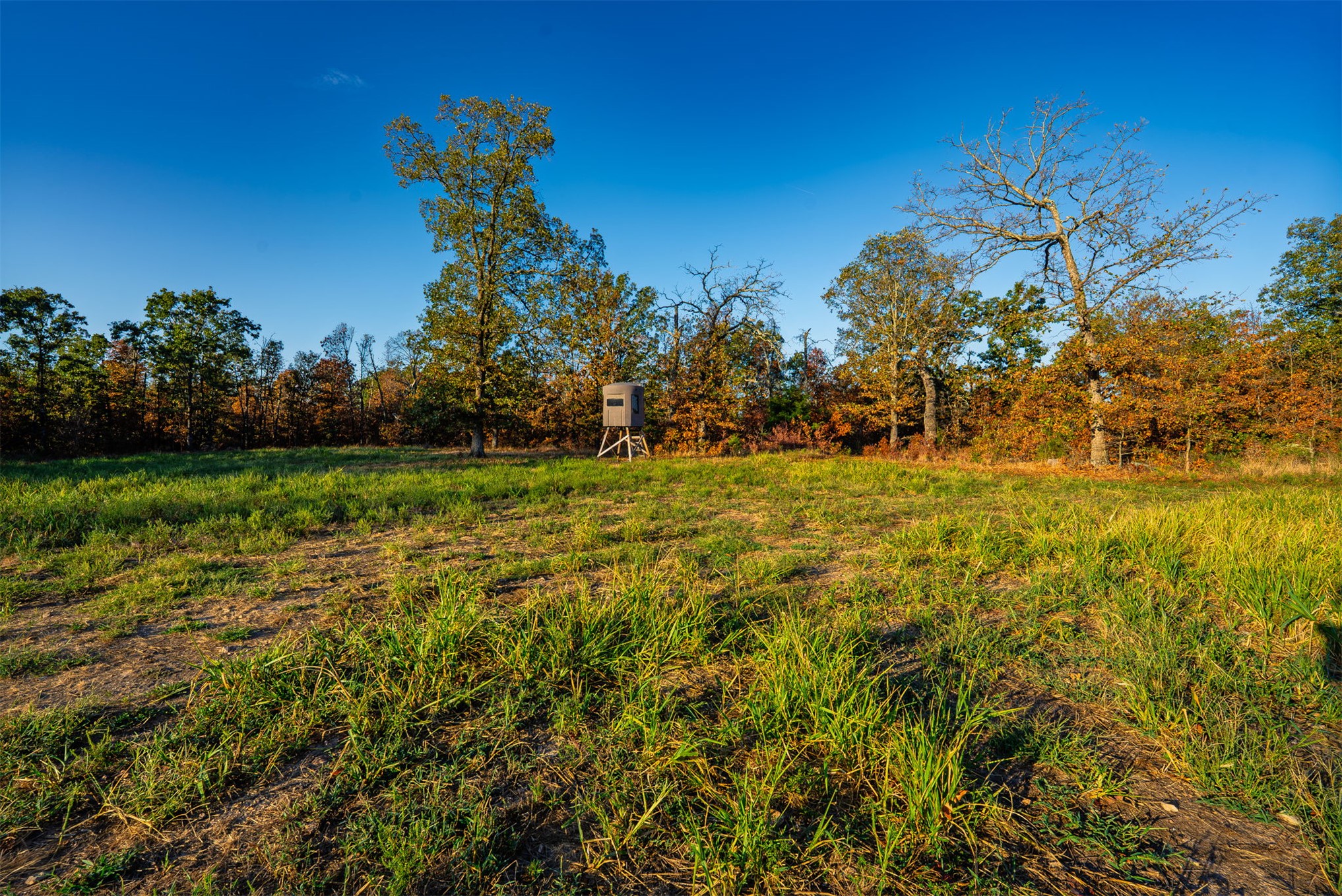 21501 S 705 Road Property Photo 85