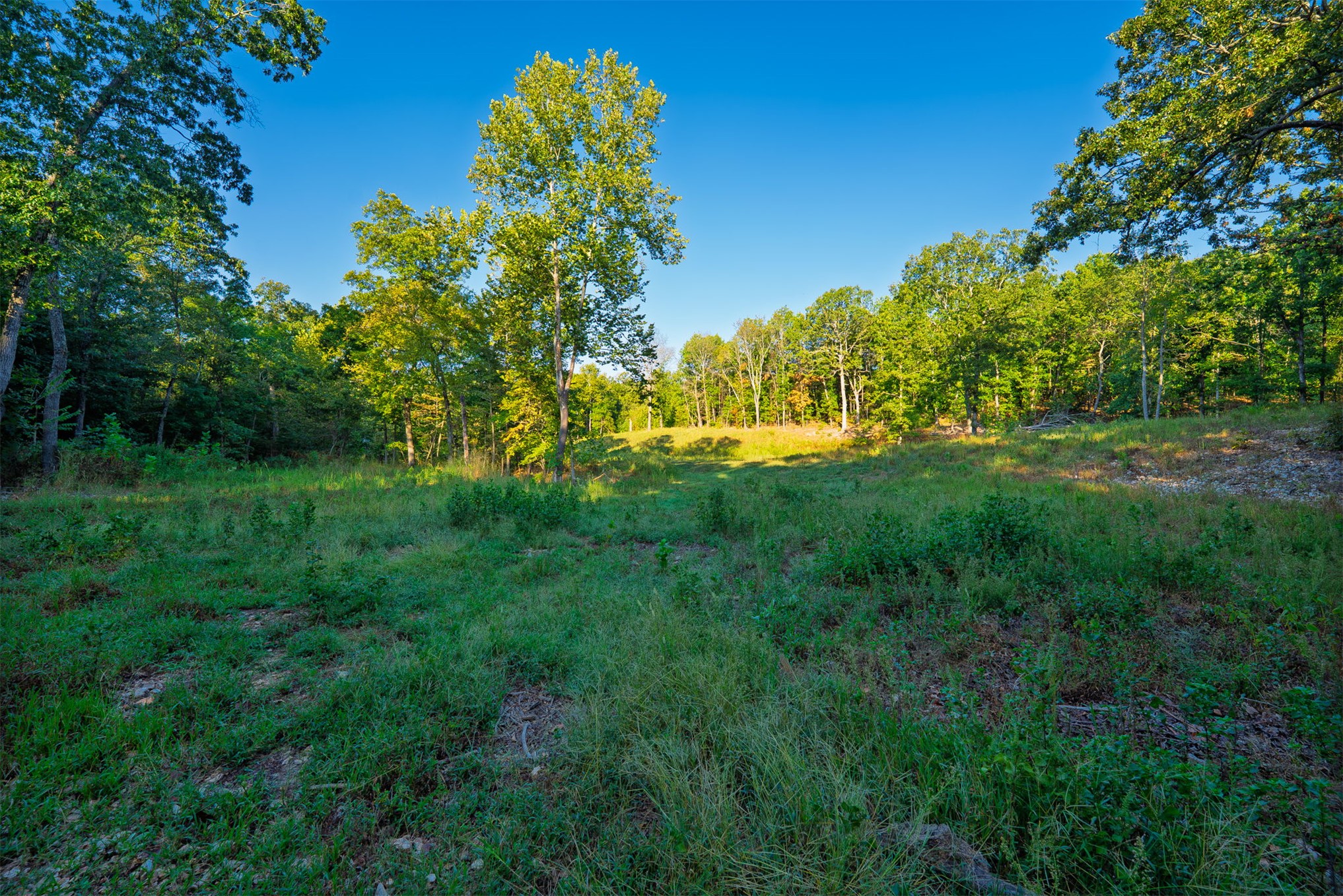 21501 S 705 Road Property Photo 88