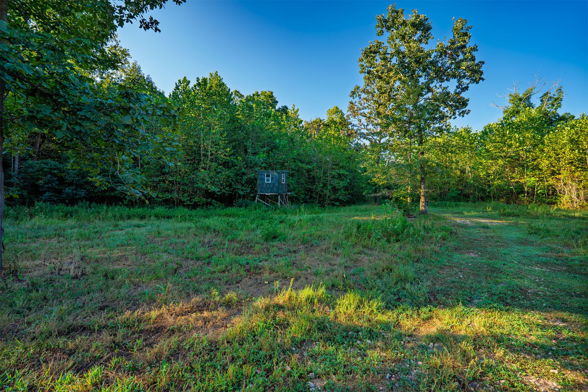 21501 S 705 Road Property Photo 91
