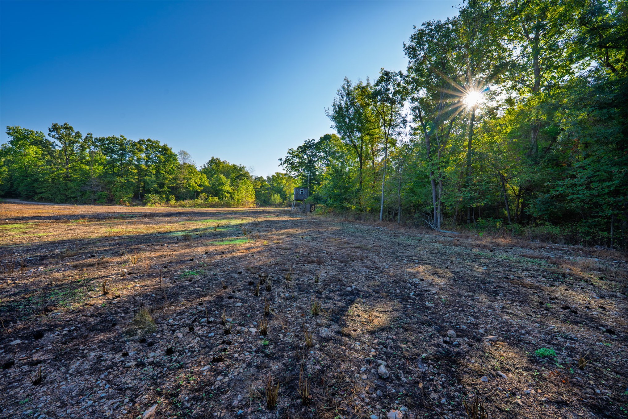 21501 S 705 Road Property Photo 92