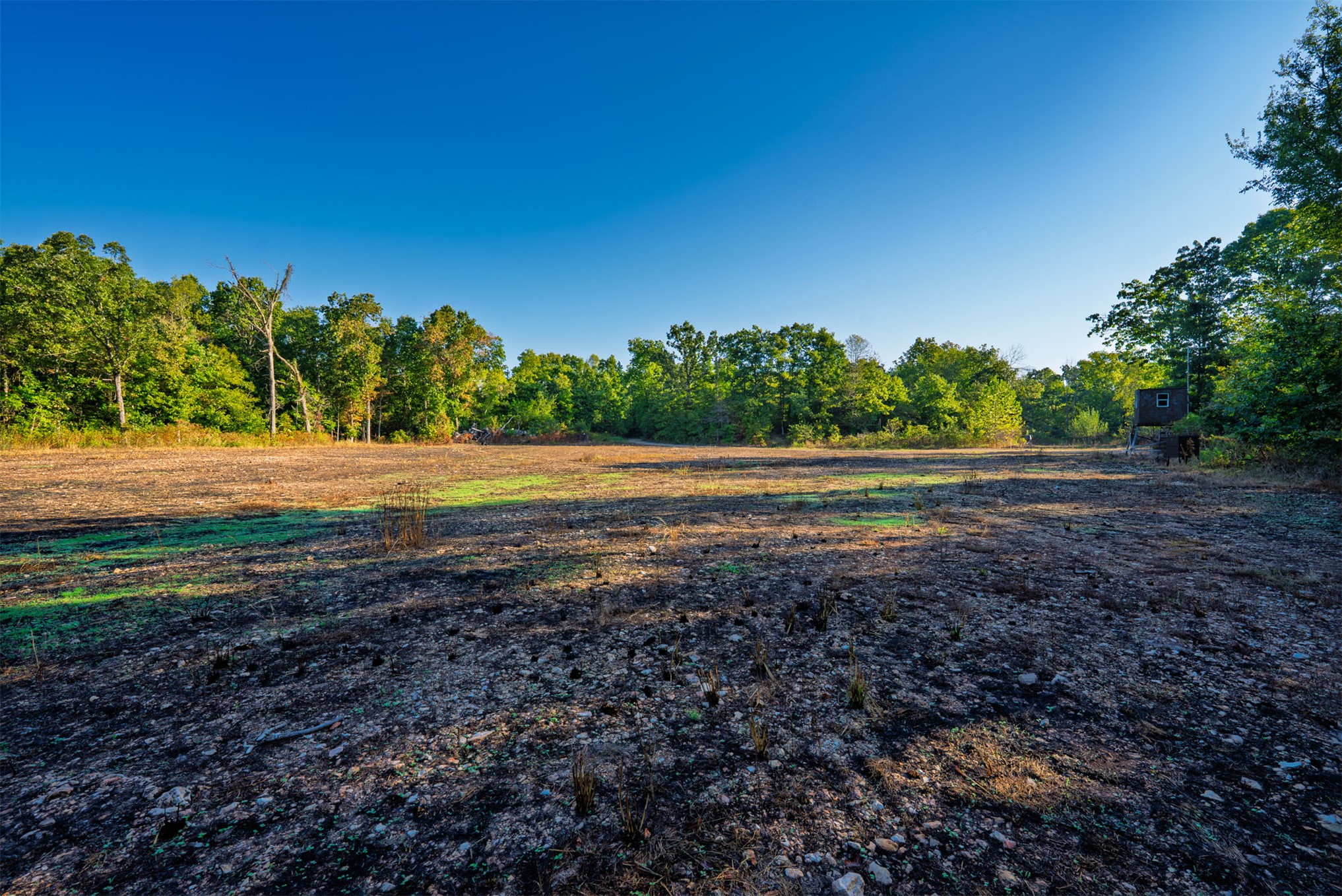 21501 S 705 Road Property Photo 94