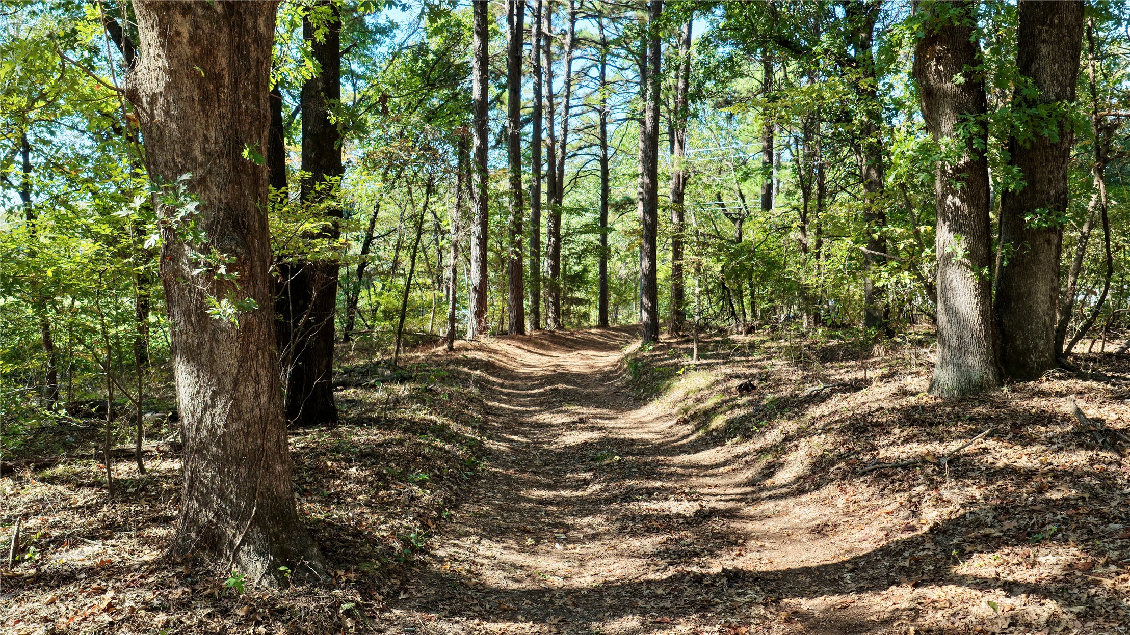 426098 Texanna Road Property Photo 62