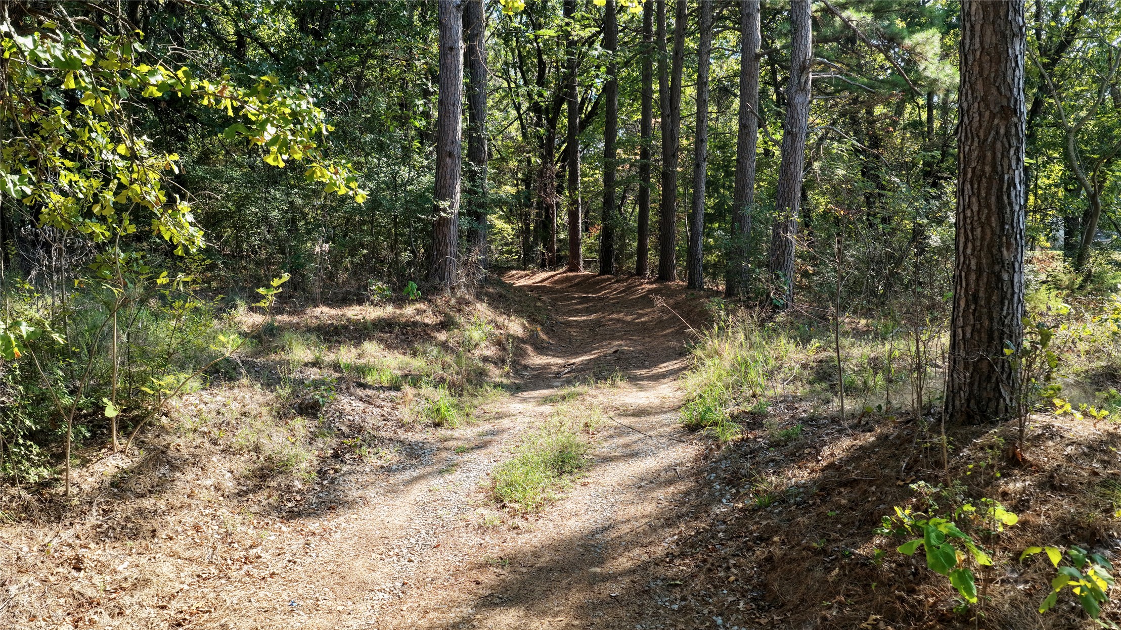 426098 Texanna Road Property Photo 63
