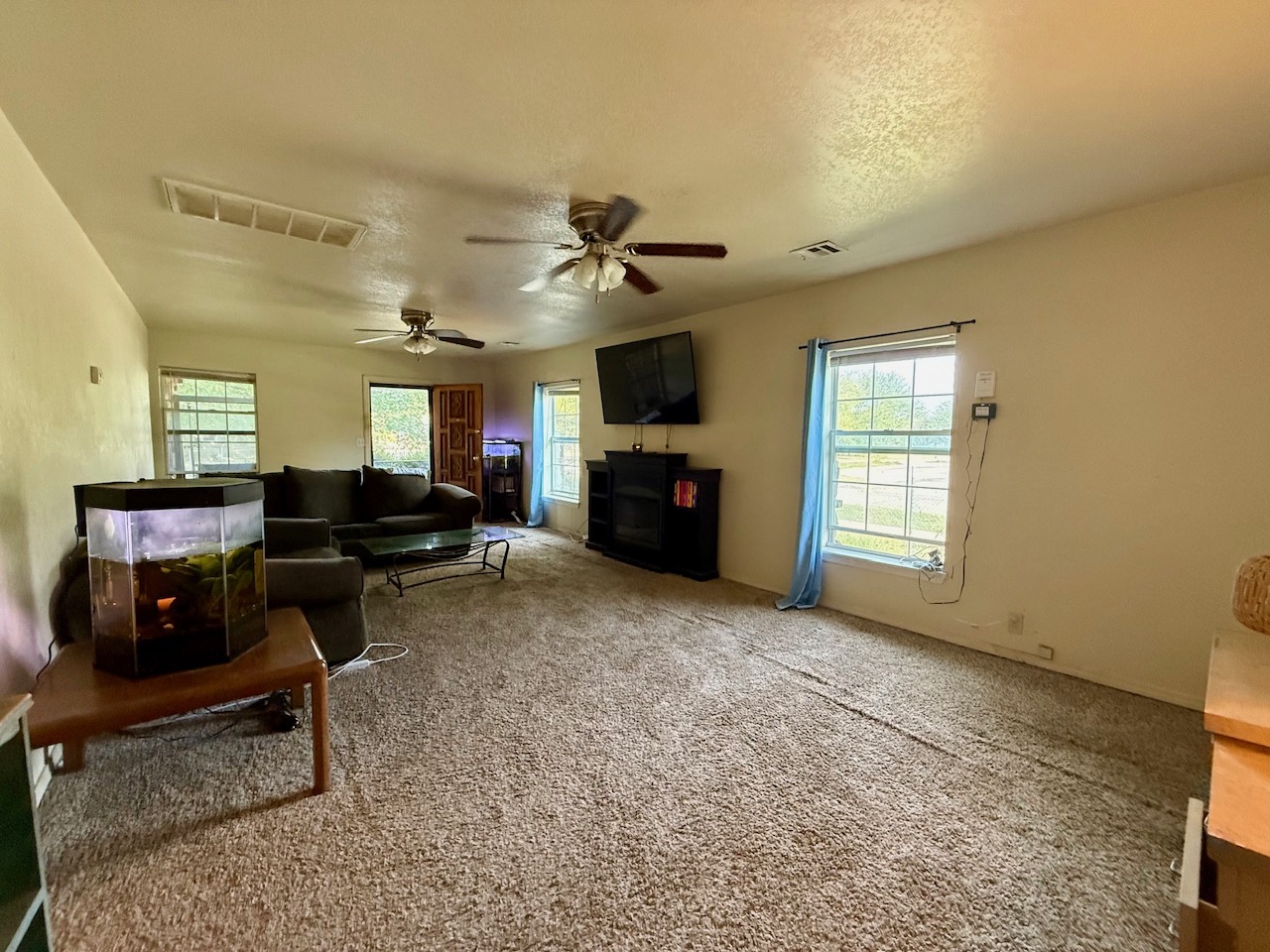 103 S Holly Street Property Photo 8