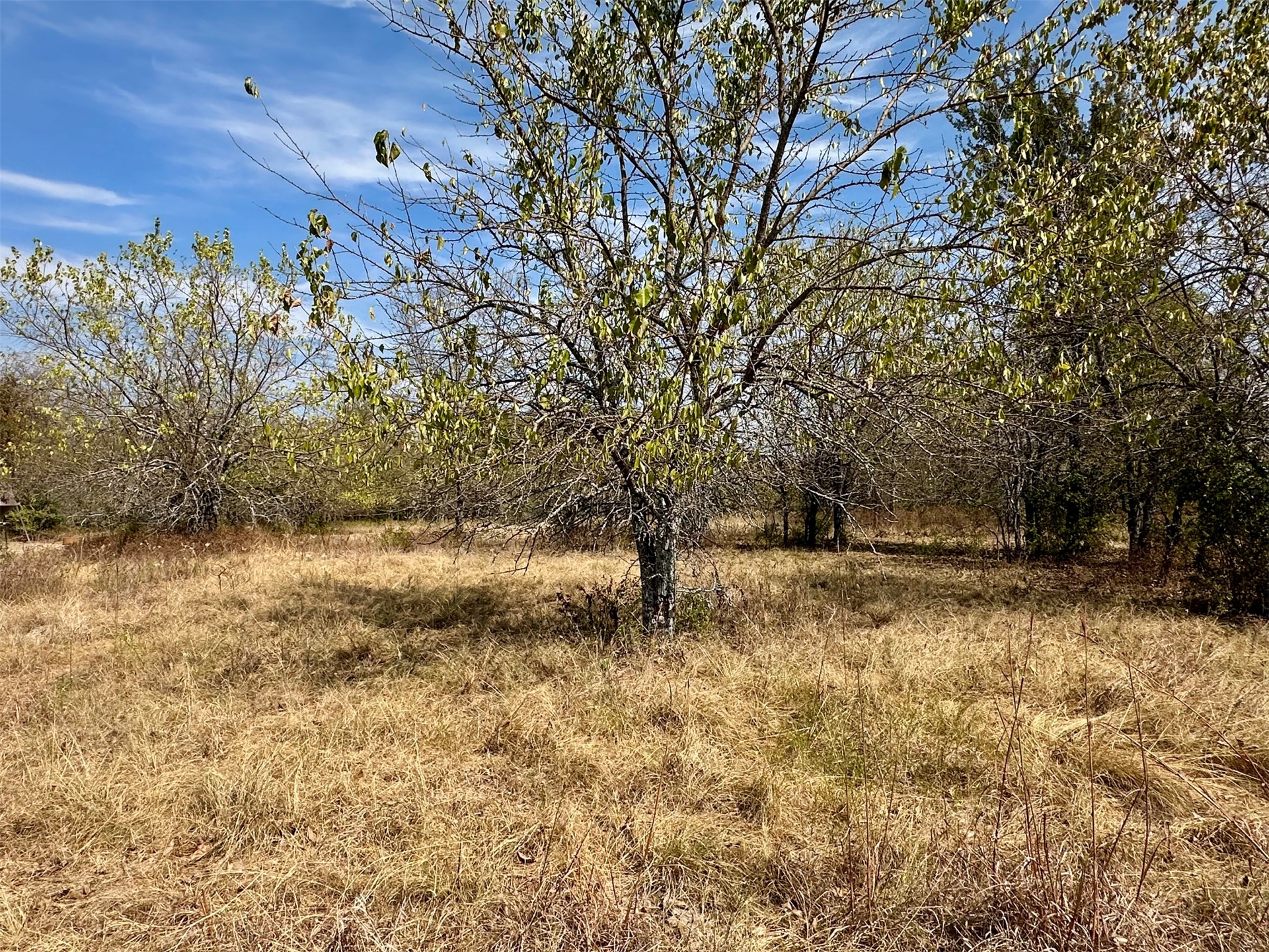 State Highway 32 Property Photo 19