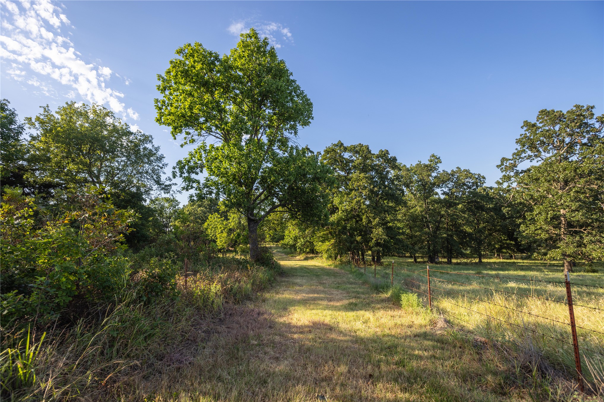 0000 W Dunkin Road Property Photo 33