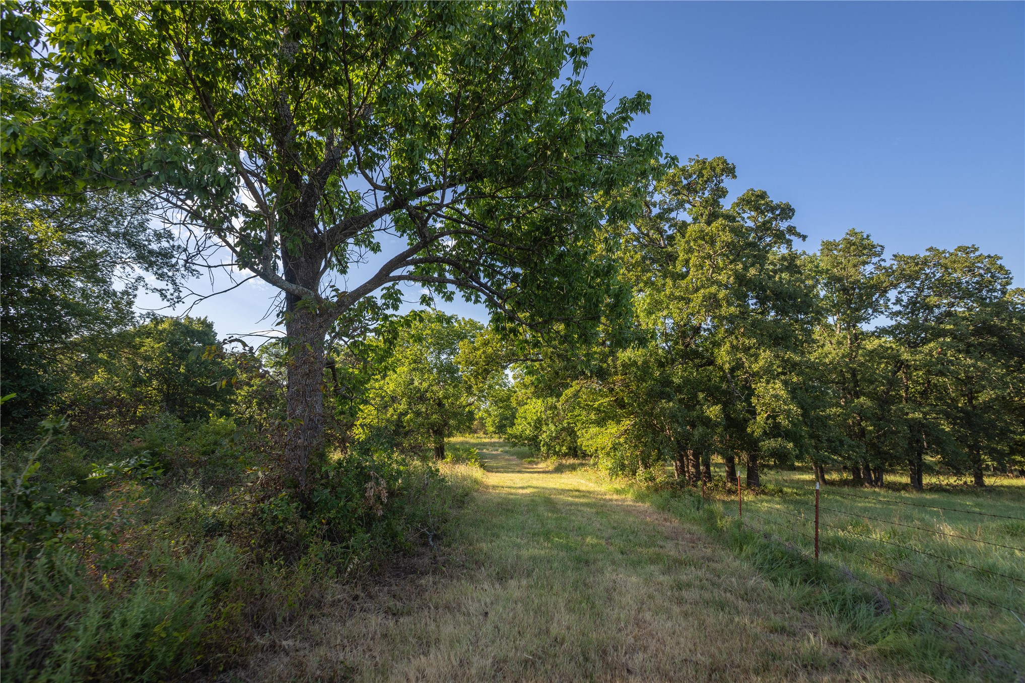 0000 W Dunkin Road Property Photo 34