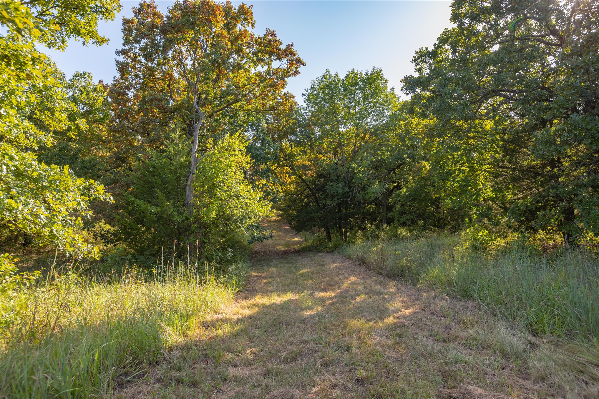 0000 W Dunkin Road Property Photo 37